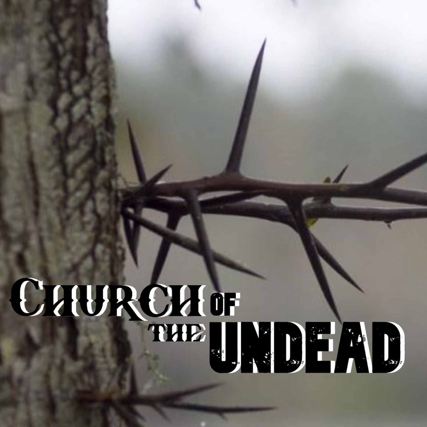 Church of the Undead