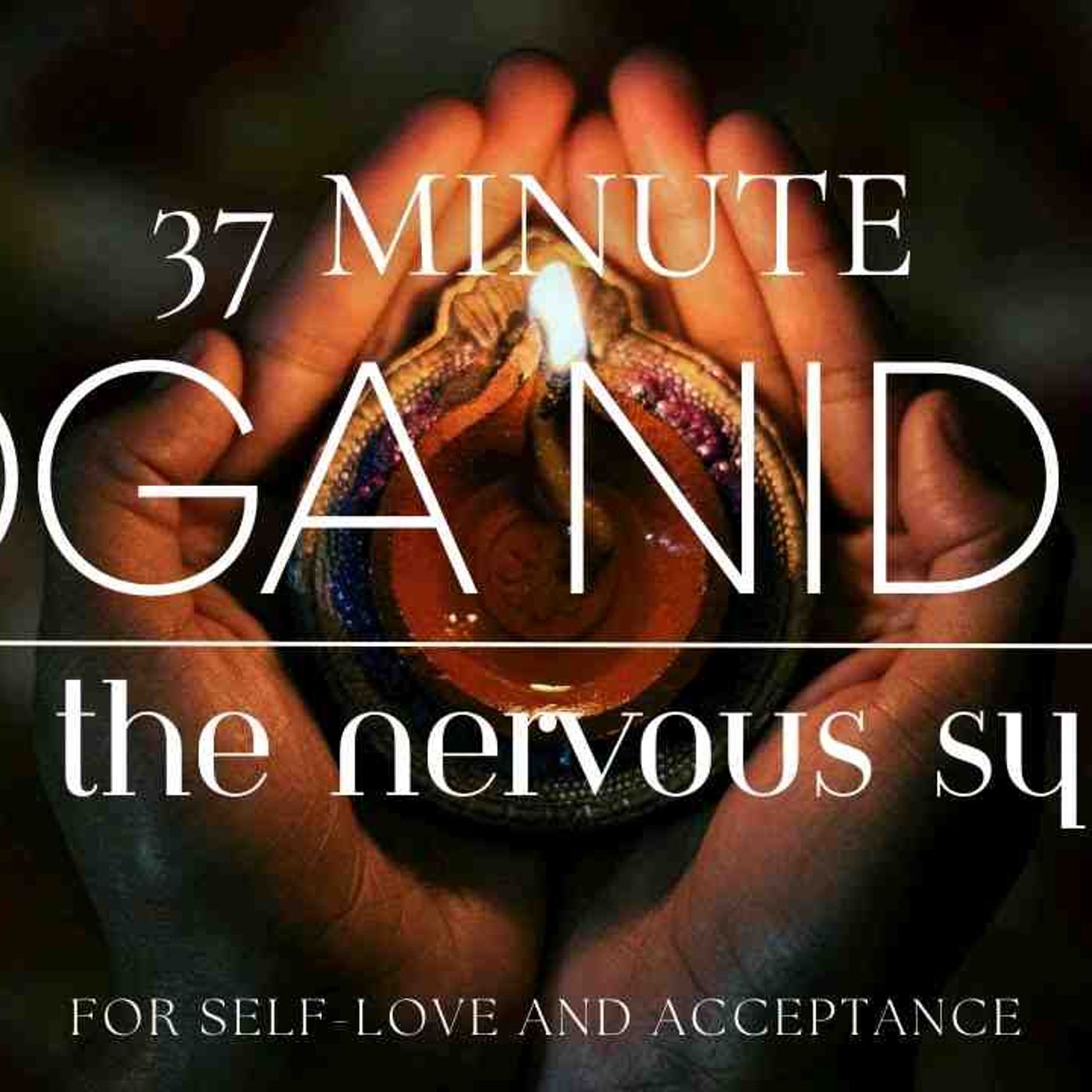 Yoga Nidra Relaxation Meditation episode artwork