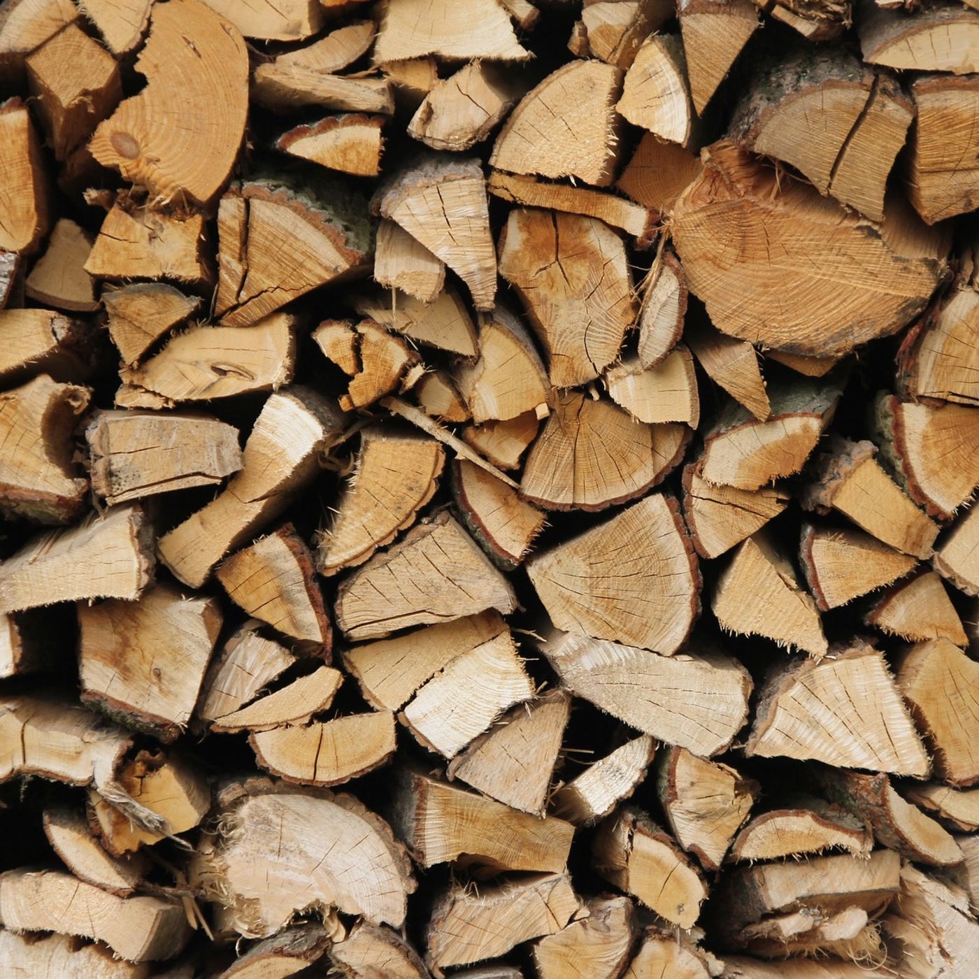 La legna per l'inverno - nuova ricetta per il voice over al forno