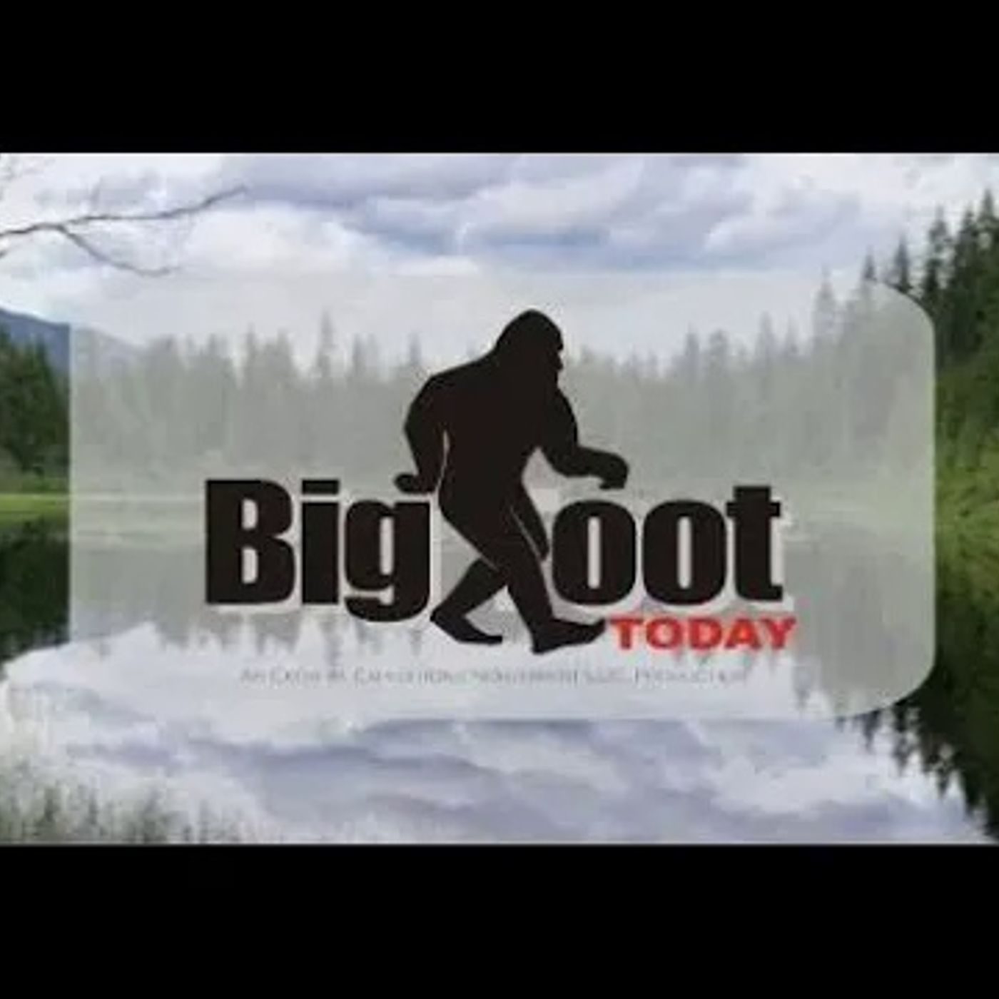 ECBRO BIGFOOT RADIO