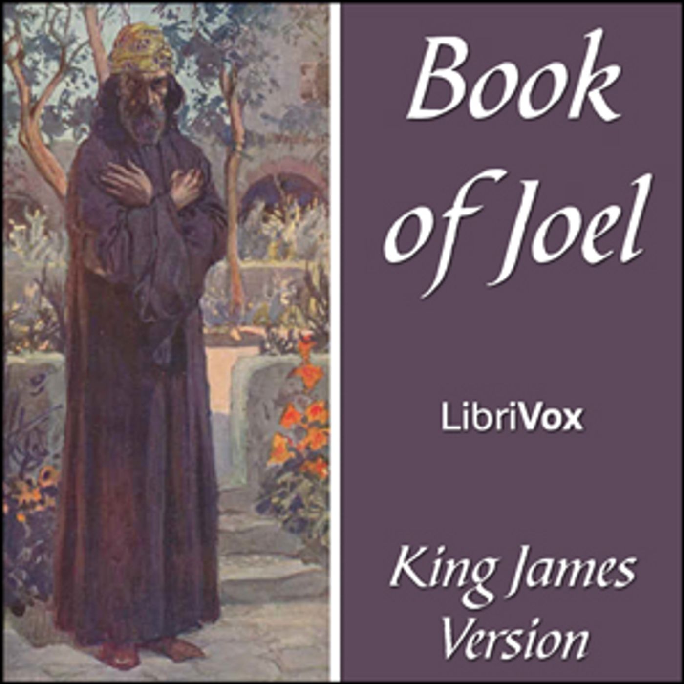 King James Version - Joel cover art