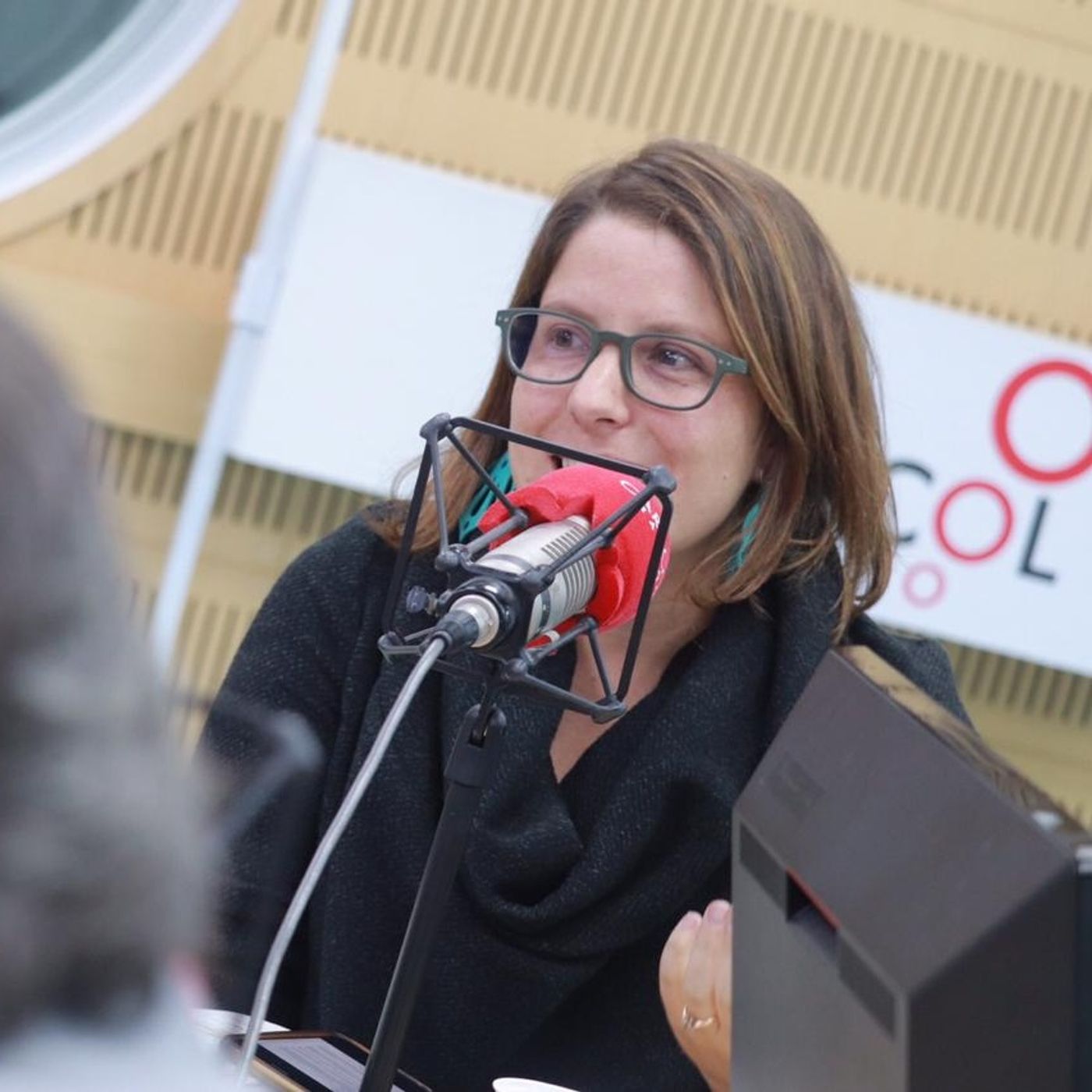 Entrevista en W Radio: ¿Deben los excombatientes de las FARC renunciar al Congreso?