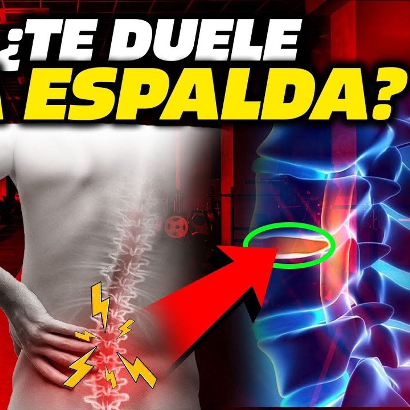 Dr. Borja Bandera