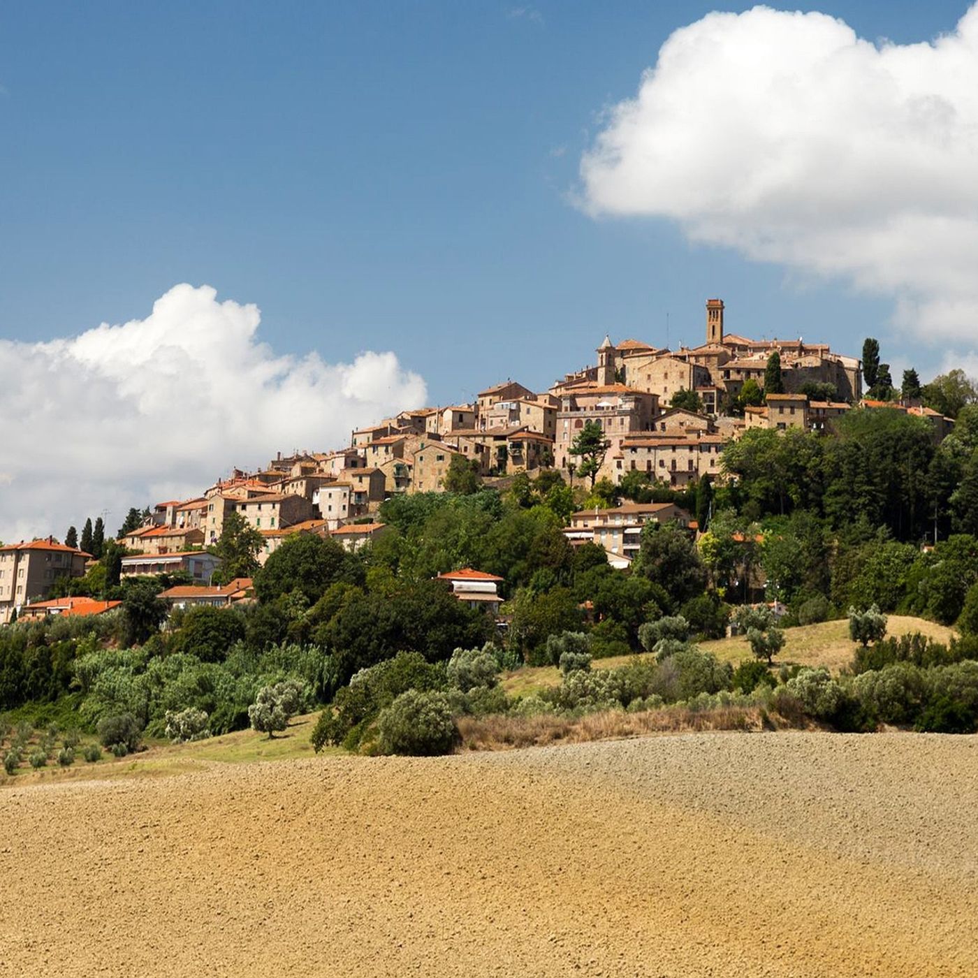 Interessante curiosità su Toscana episode artwork