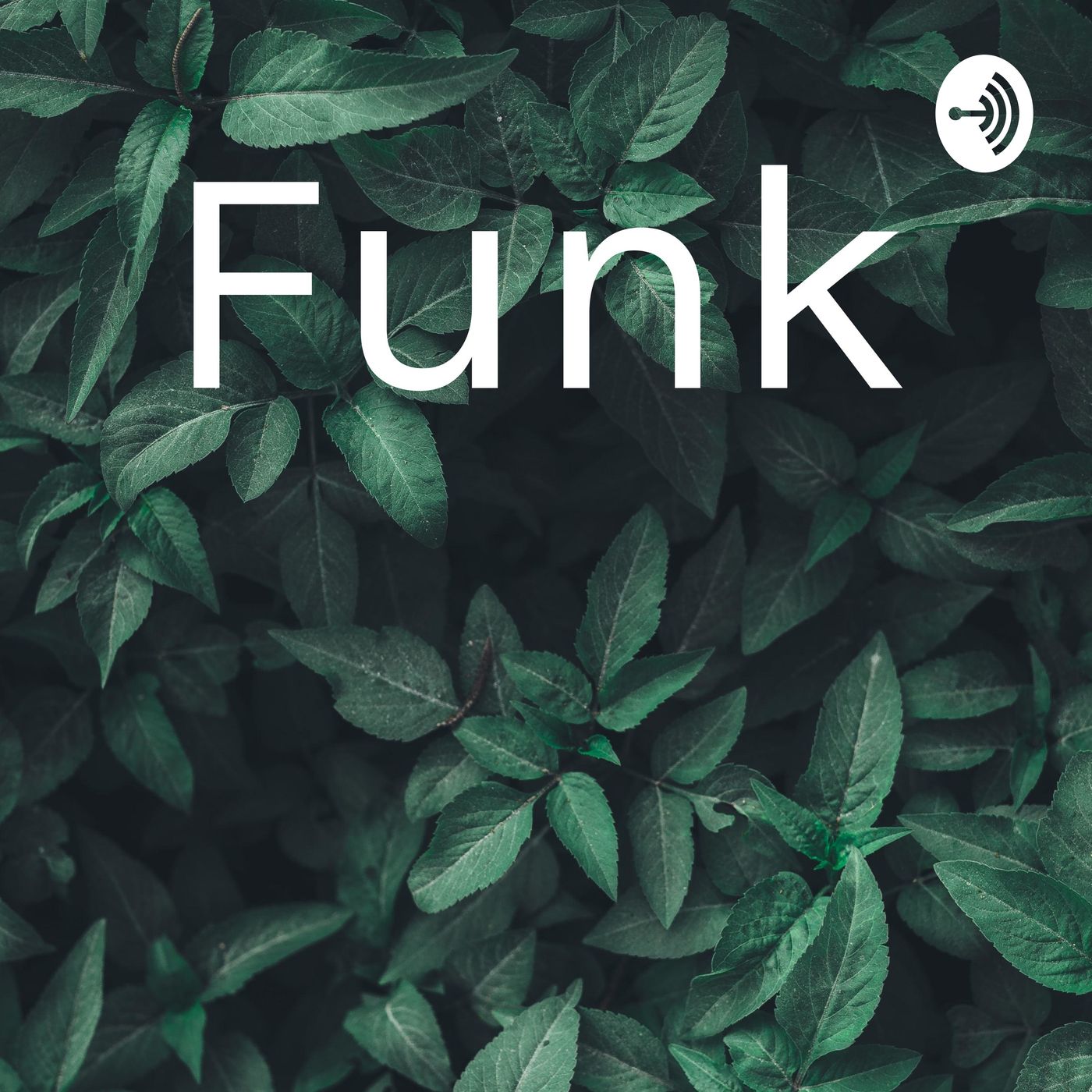Funk podcast artwork