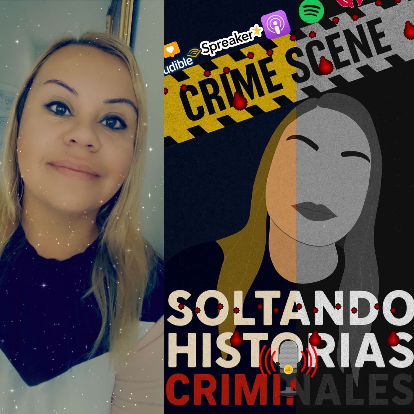SOLTANDO HISTORIAS CRIMINALES