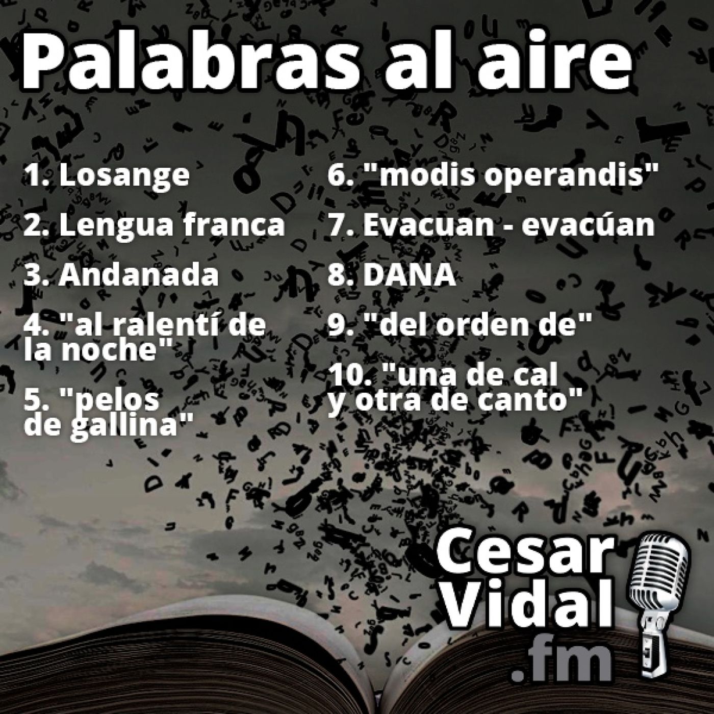 Palabras al aire - 09/10/23 episode artwork