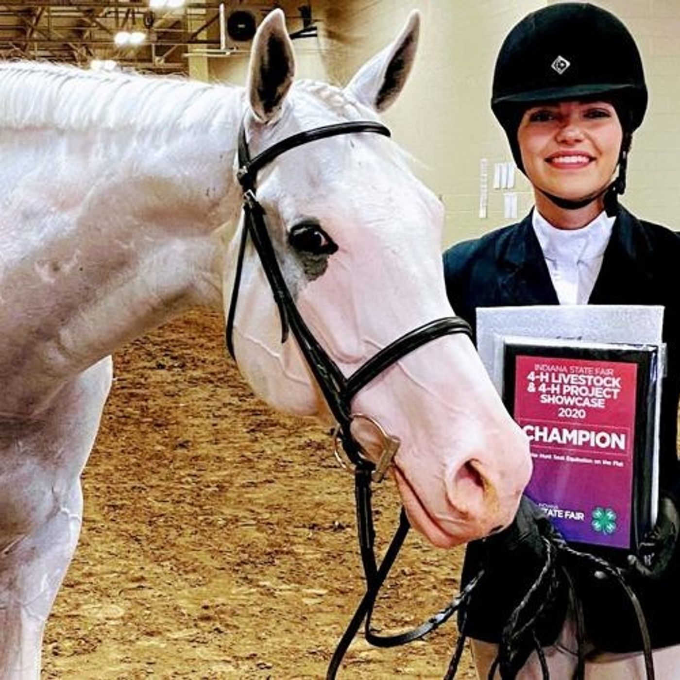 The Gilded Page # Ava Sinclair