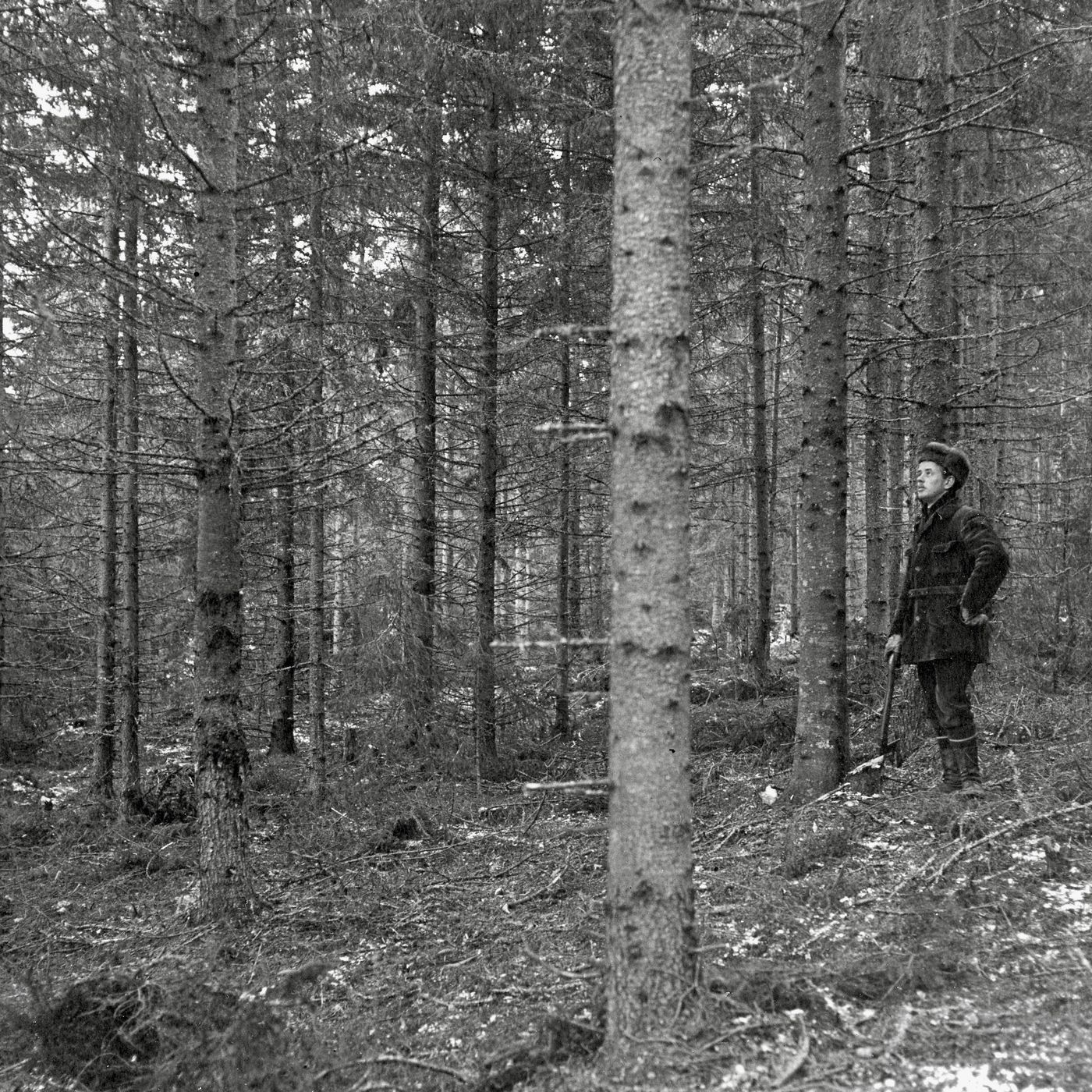 Det förvunna Lammkulla