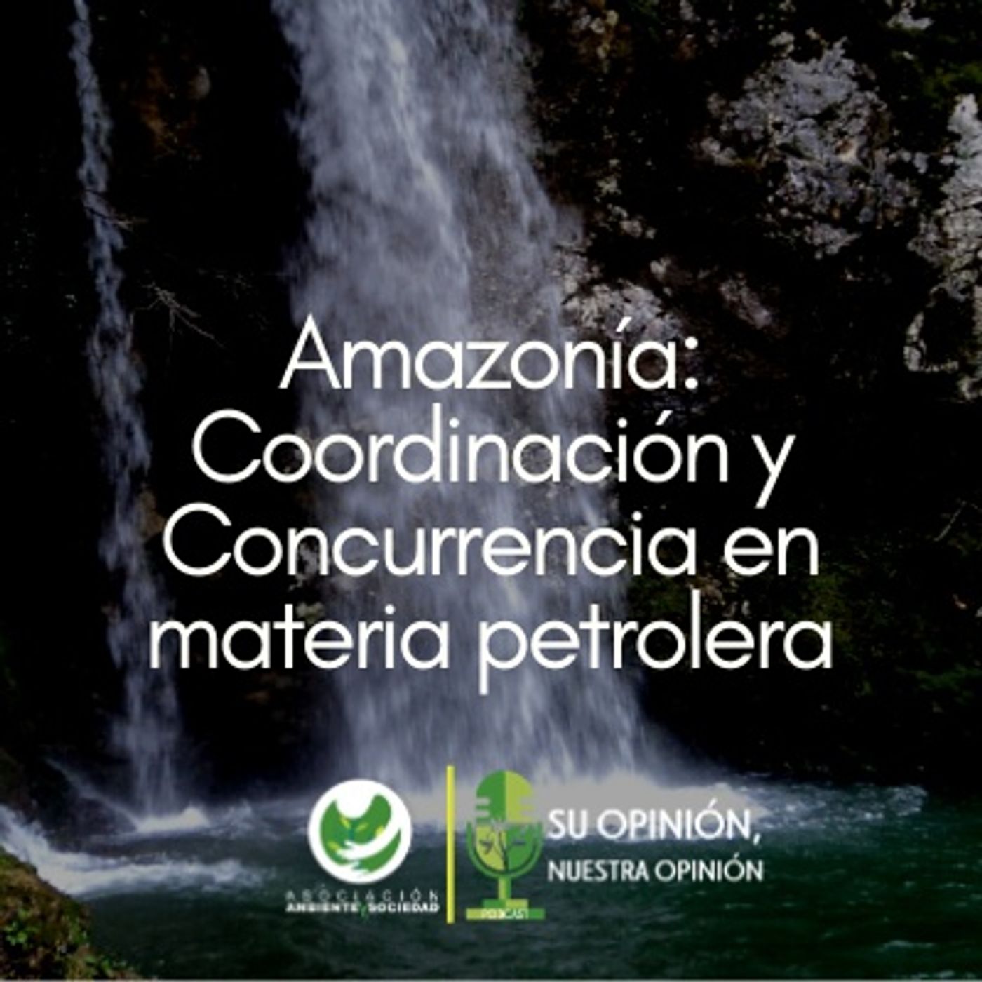 Ambiente y Sociedad