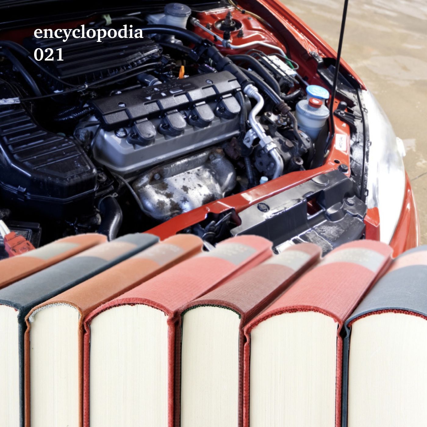 Encyclopodia