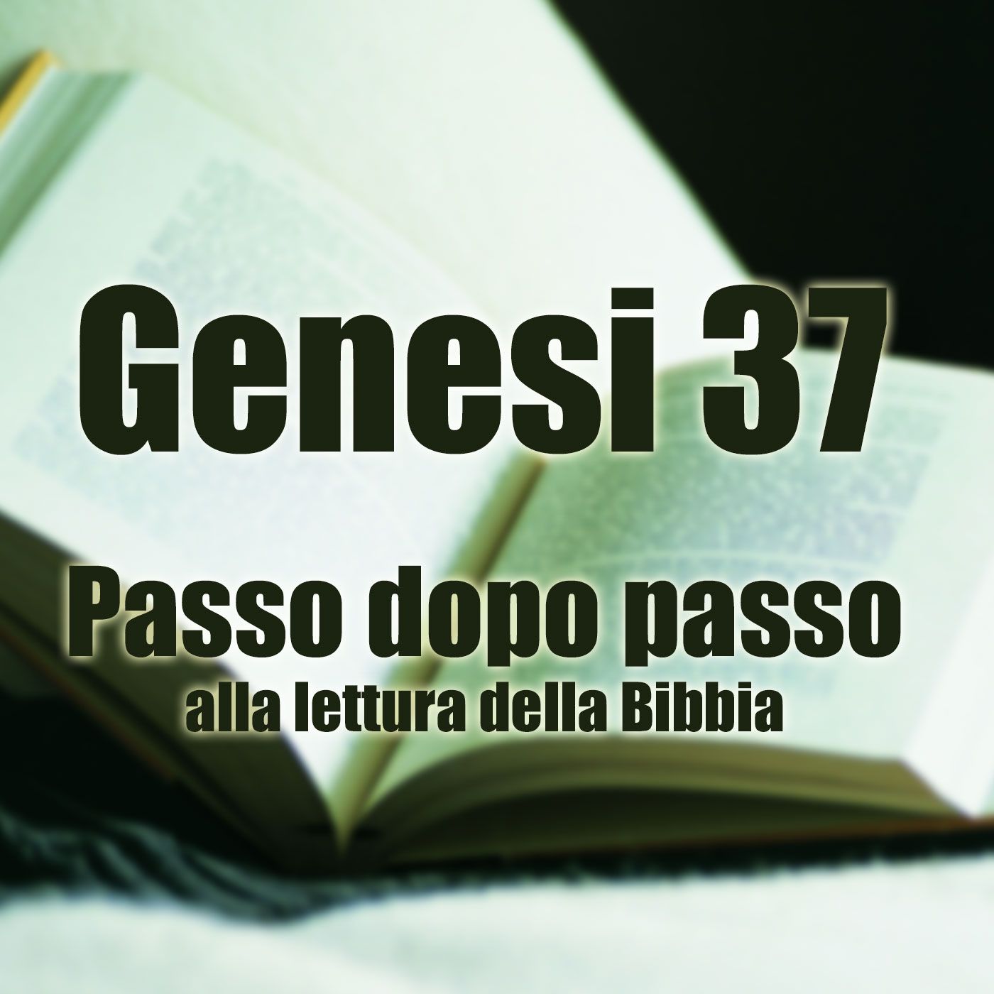 Genesi capitolo 37