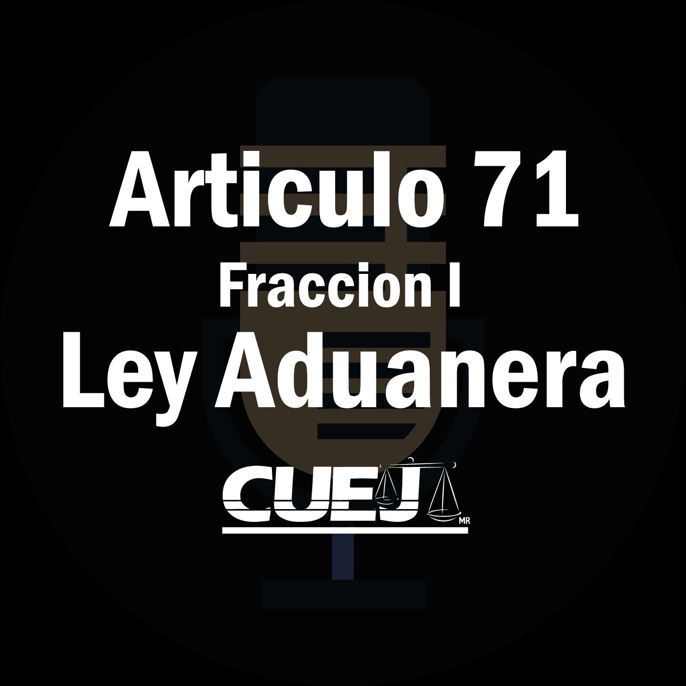 Audio Ley Aduanera
