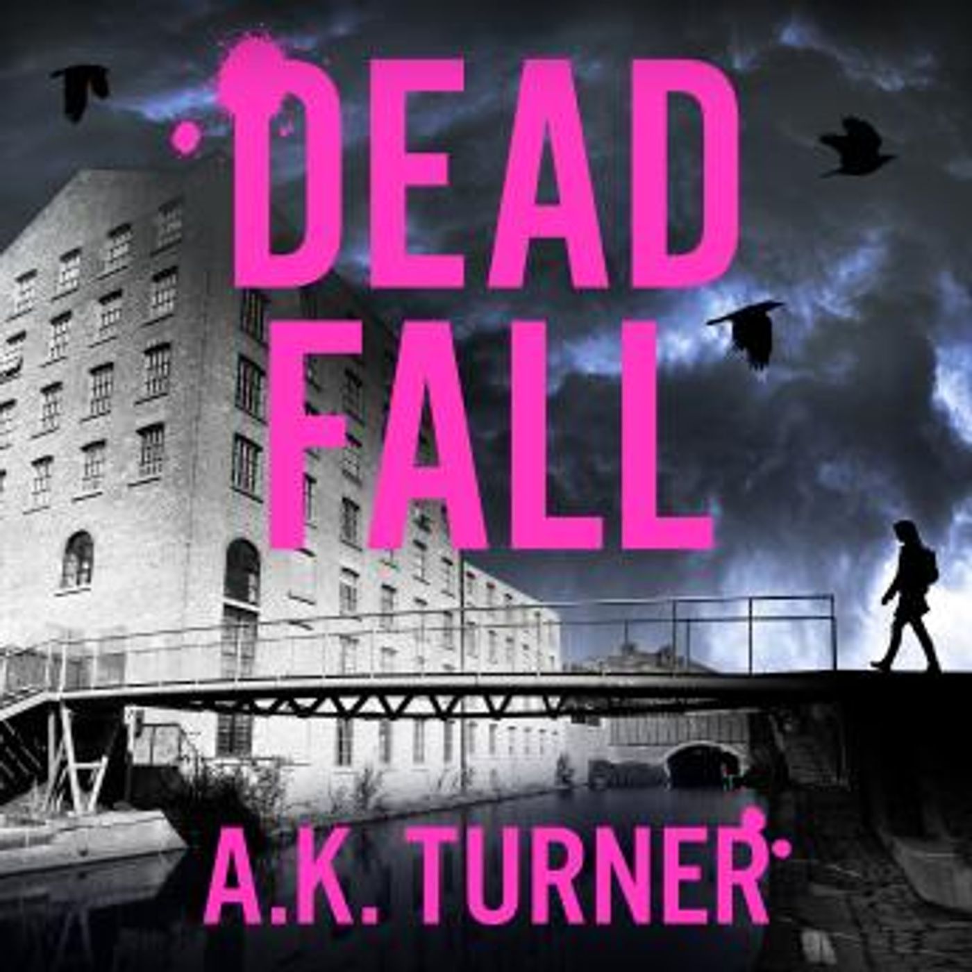 Dead Fall: An intriguing new case for Camden-based forensic sleuth Cassie Raven by A. K. Turner episode artwork