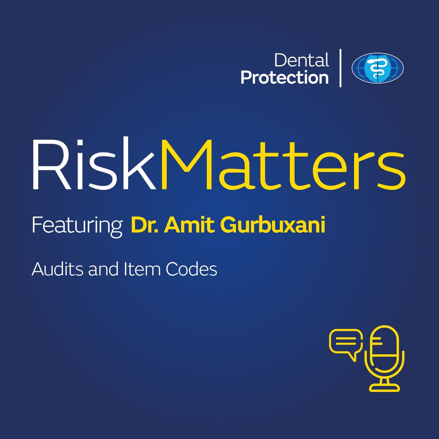 RiskMatters - Audits and Item Codes episode artwork
