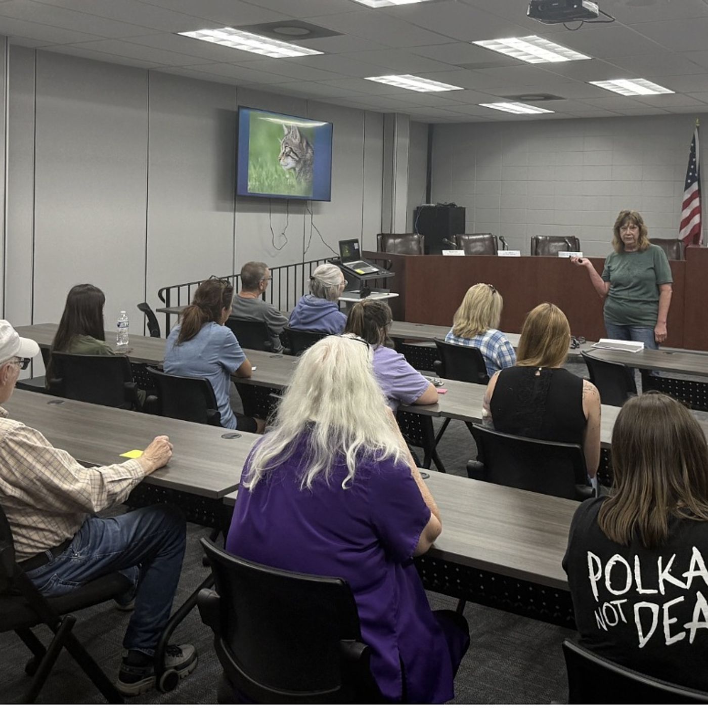 Mendota launches trap-neuter-release program to address stray cats episode artwork