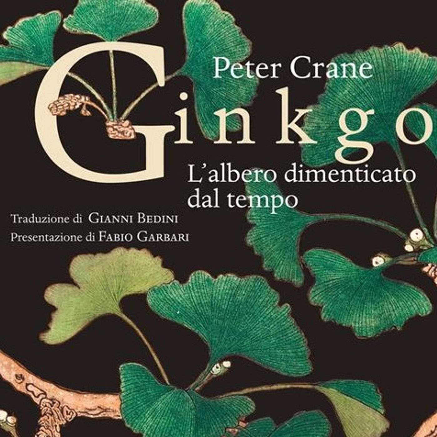 Gianni Bedini "Ginkgo" Peter Crane