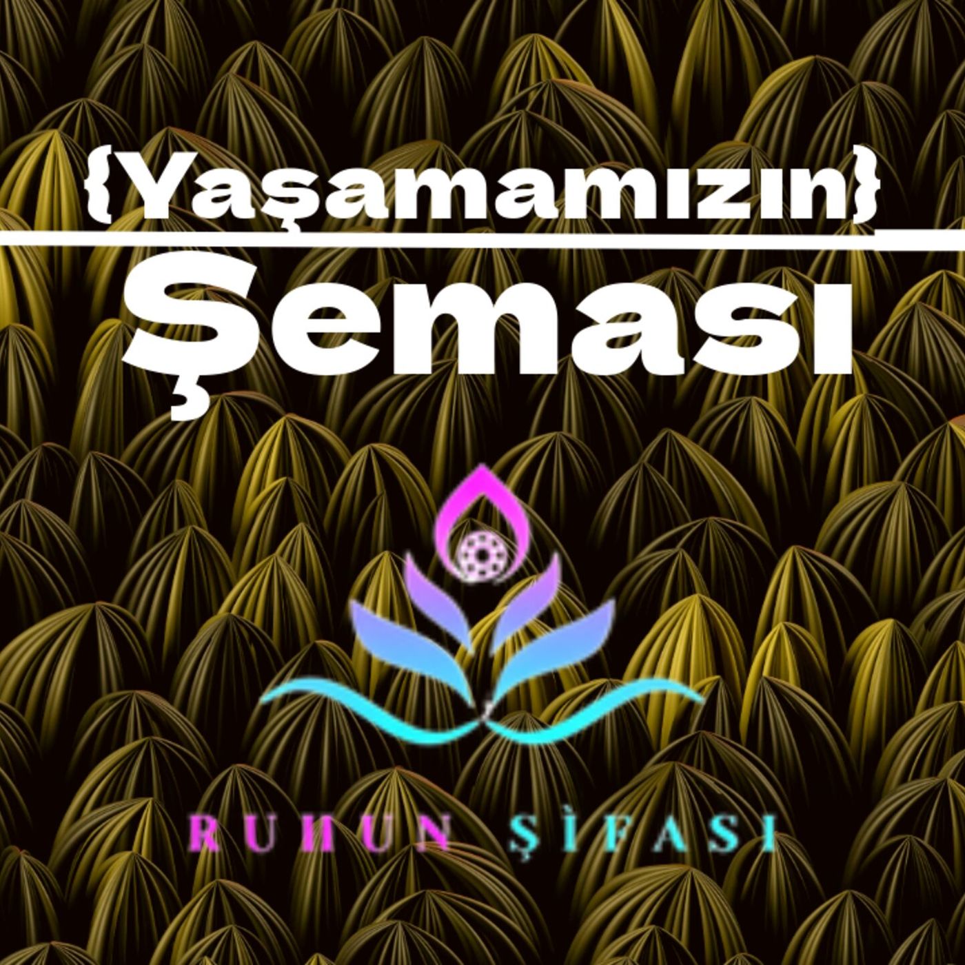 Yaşamamızın Şeması episode artwork