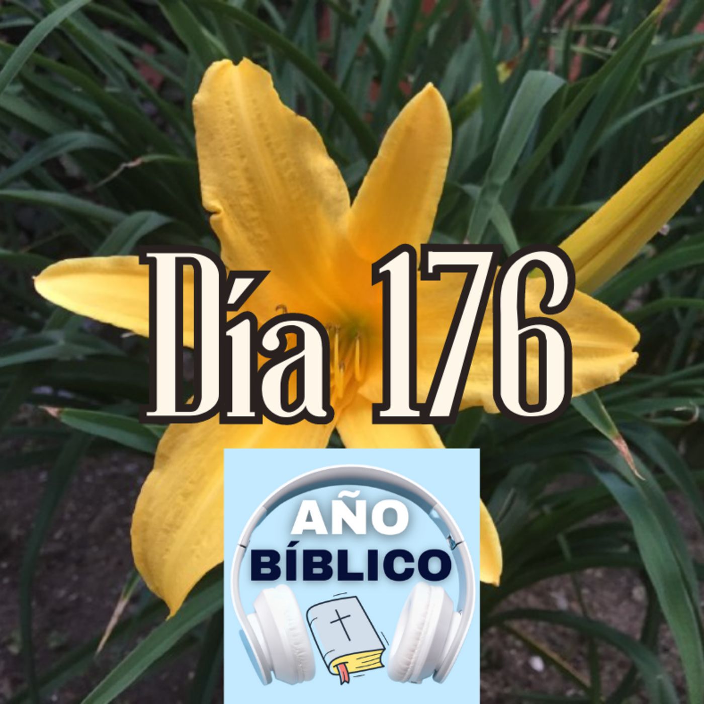 Día 176 - Salmos 75:7-10, 1 Crónicas 6:54-81; 1 Crónicas 7 y Romanos 3:1-20 episode artwork