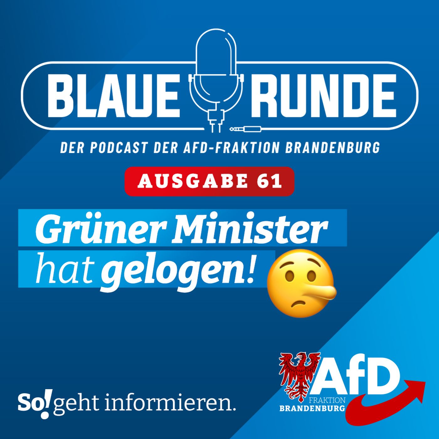Grüner Minister hat gelogen! | Die Blaue Runde, Ausgabe 61/23 vom 23. Juni 2023 episode artwork