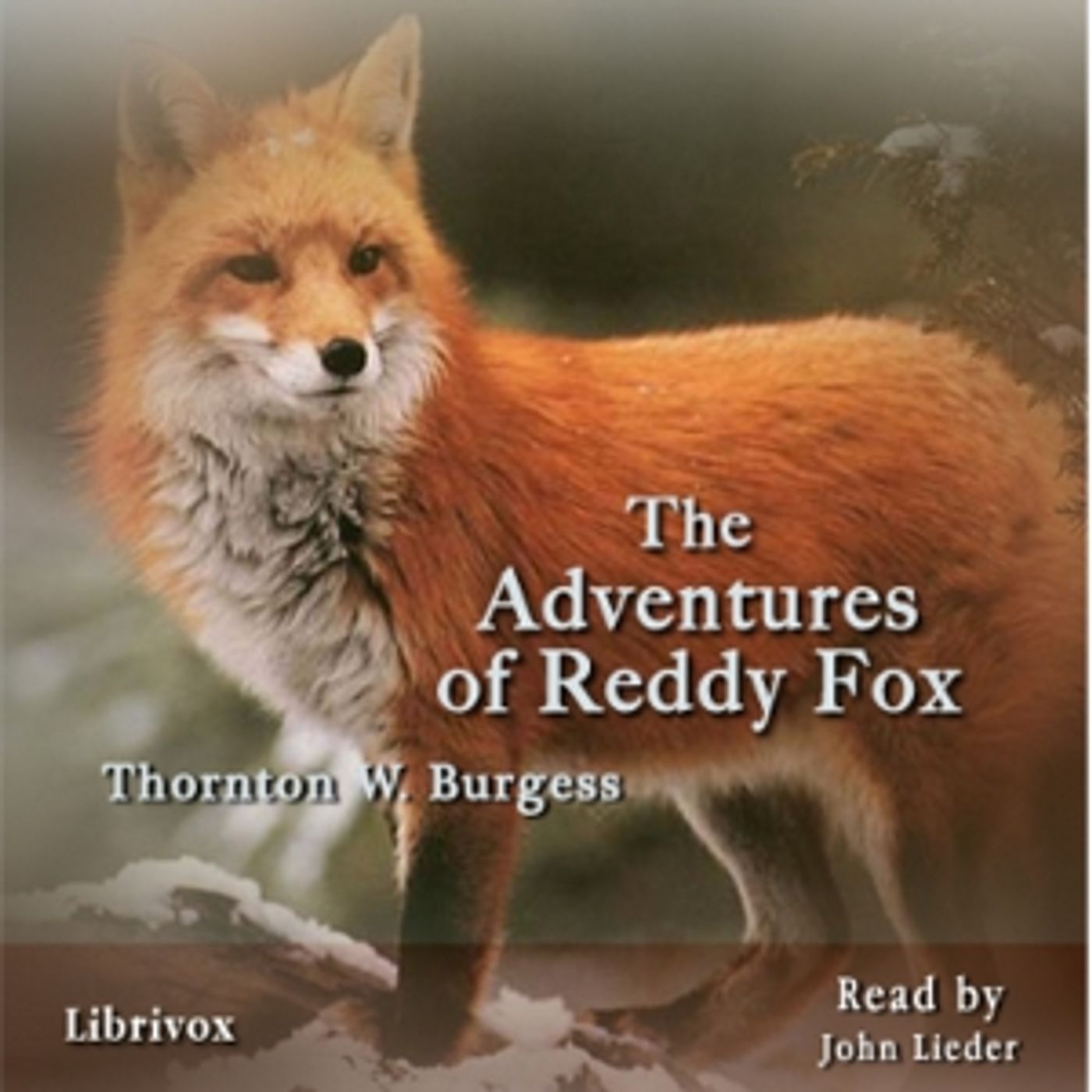 The  Adventures of Reddy Fox, by Thornton W. Burgess