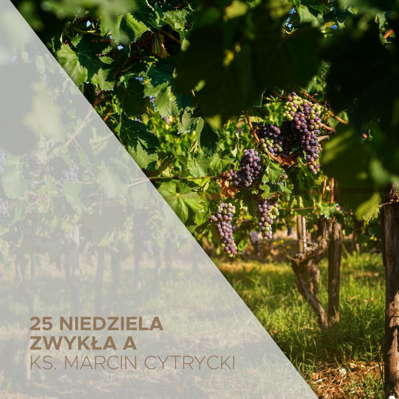 Słowo na niedzielę i nie tylko
