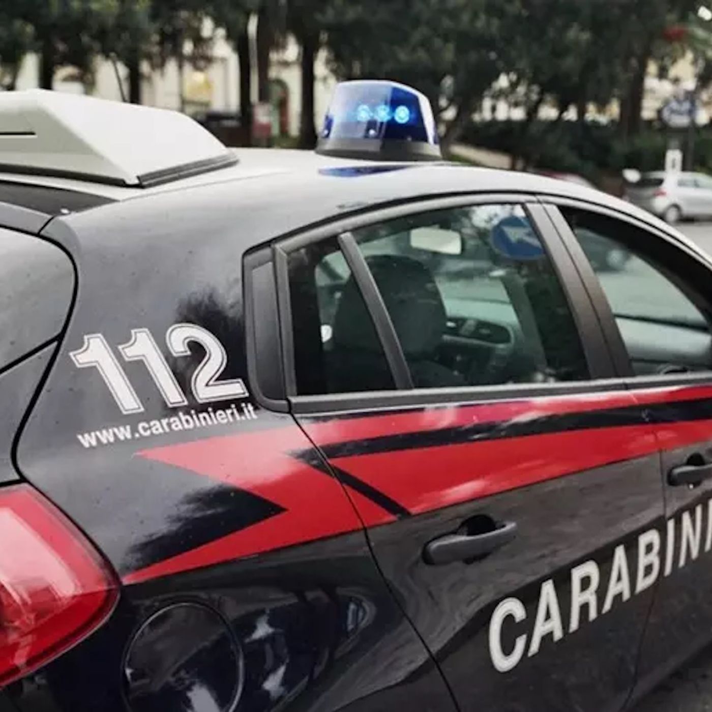 Minaccia sindaca dopo ordine abbattimento cinghiali, arrestato episode artwork