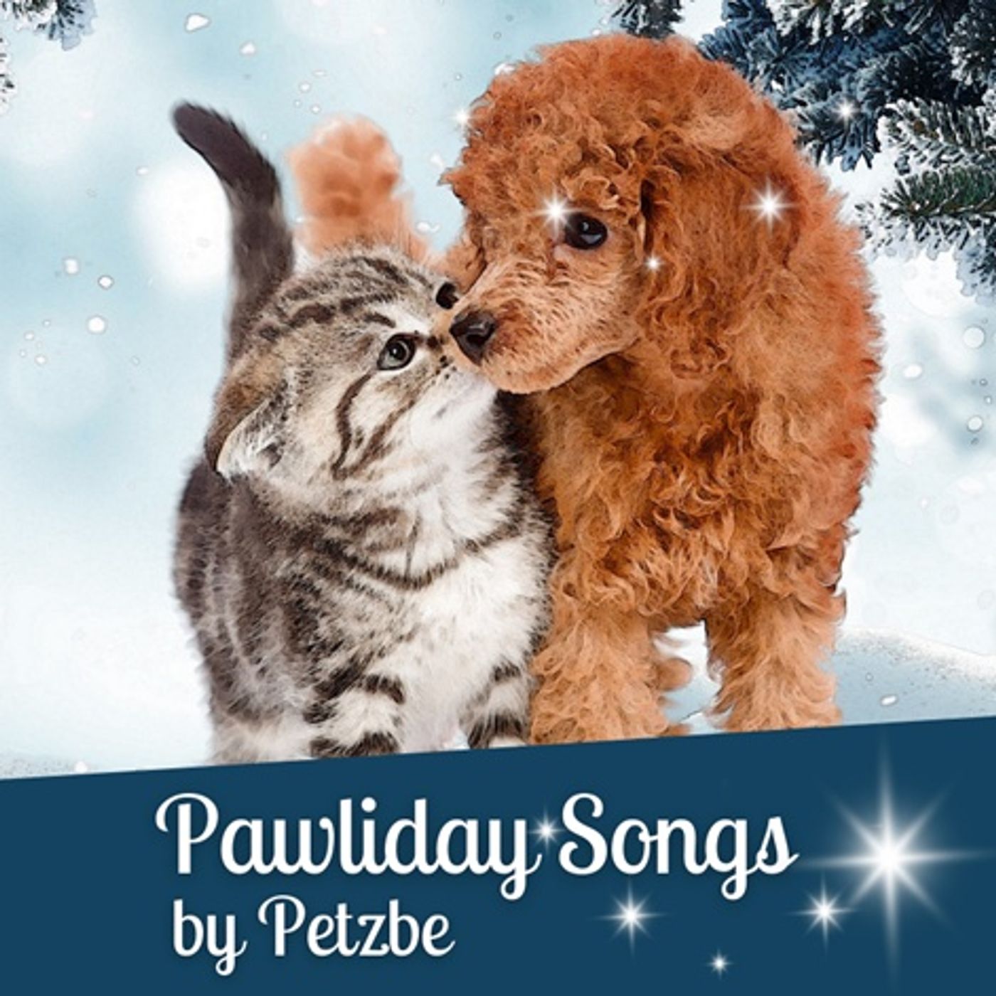 It's Christmastime for pets with Petzbe's Chelsea Williams and Andrea Nerep singing Pawliday Songs! episode artwork
