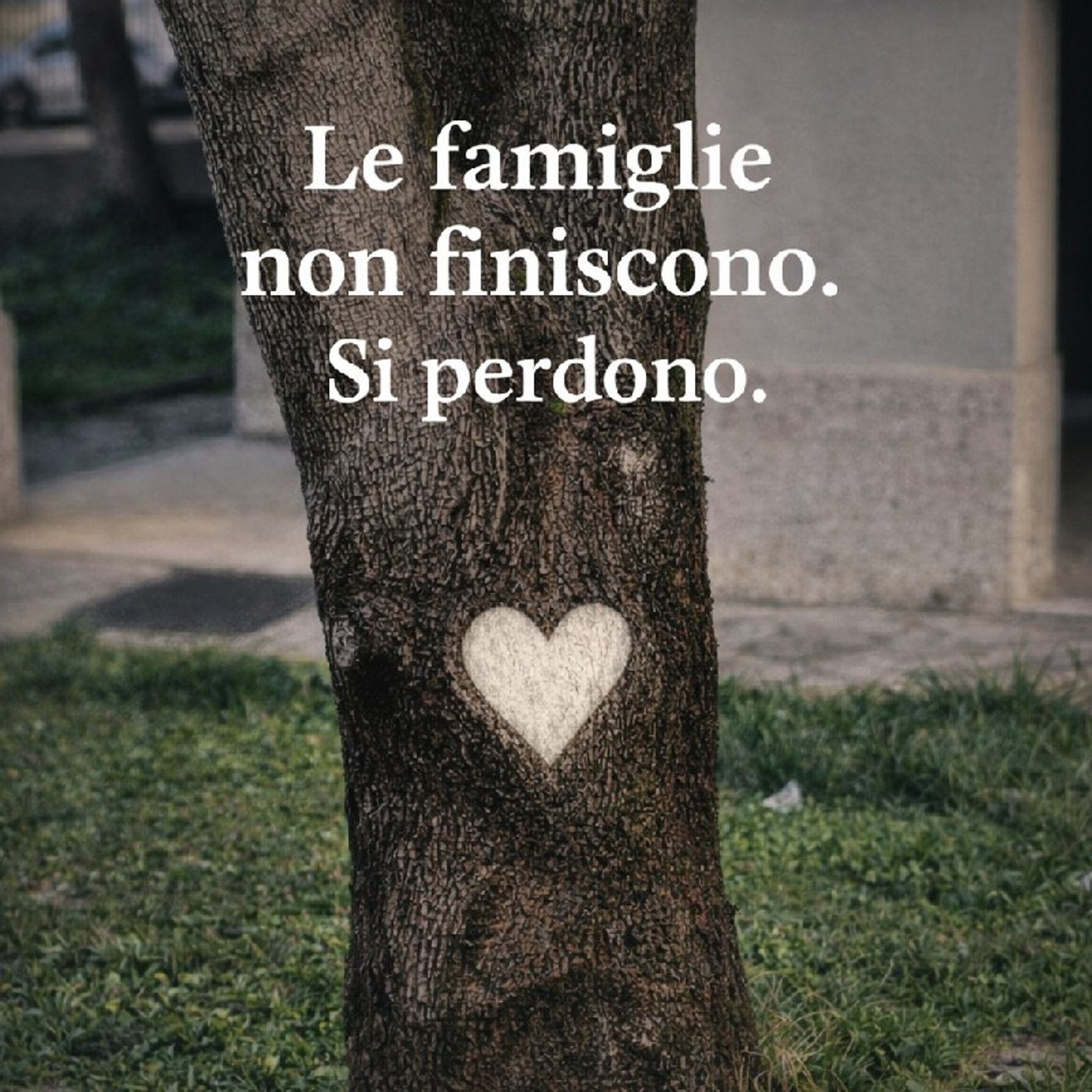 Le famiglie non finiscono. Si perdono. episode artwork