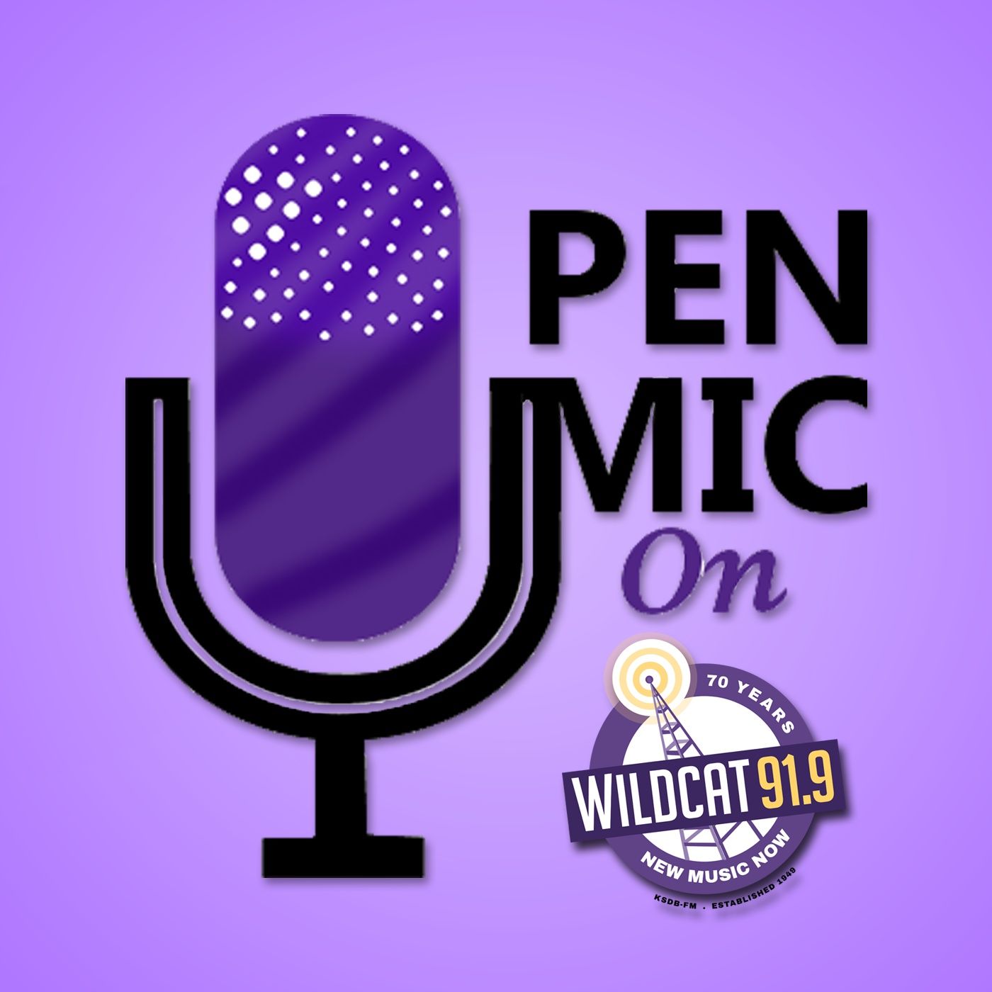 Wildcat 91.9 Open Mic