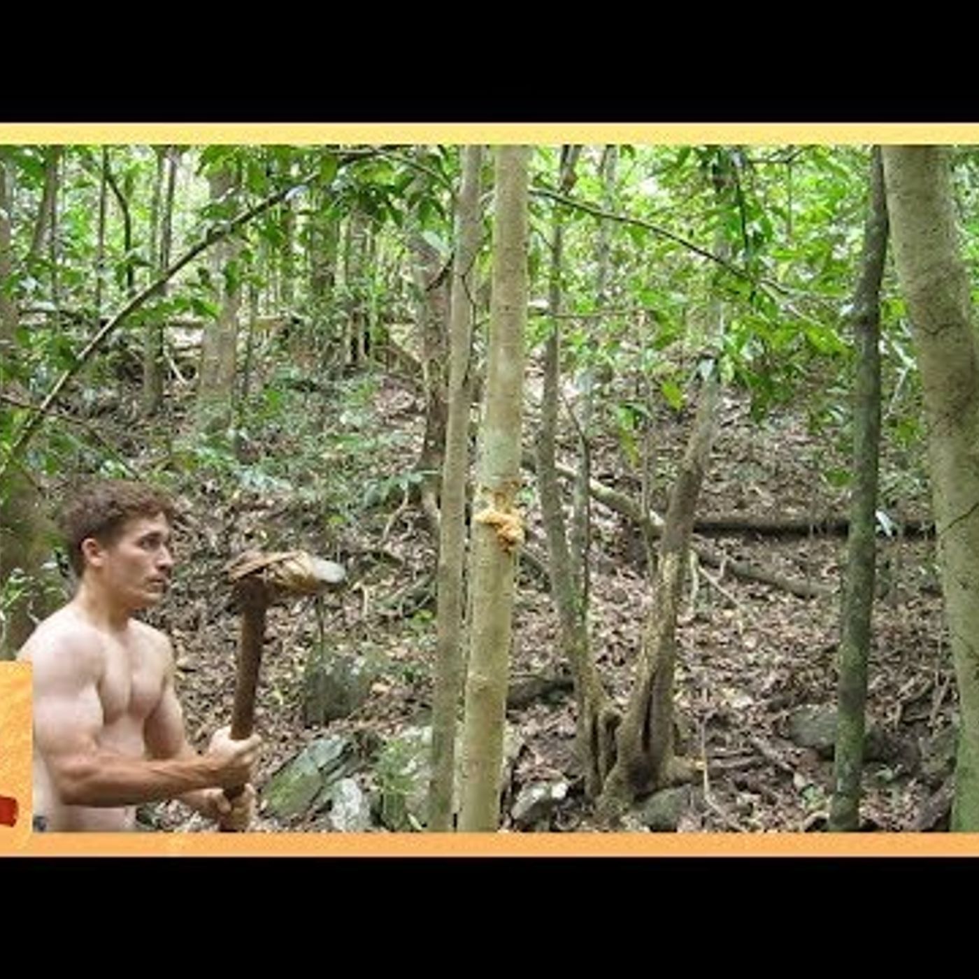 Primitive Technology: Stone Adze episode artwork