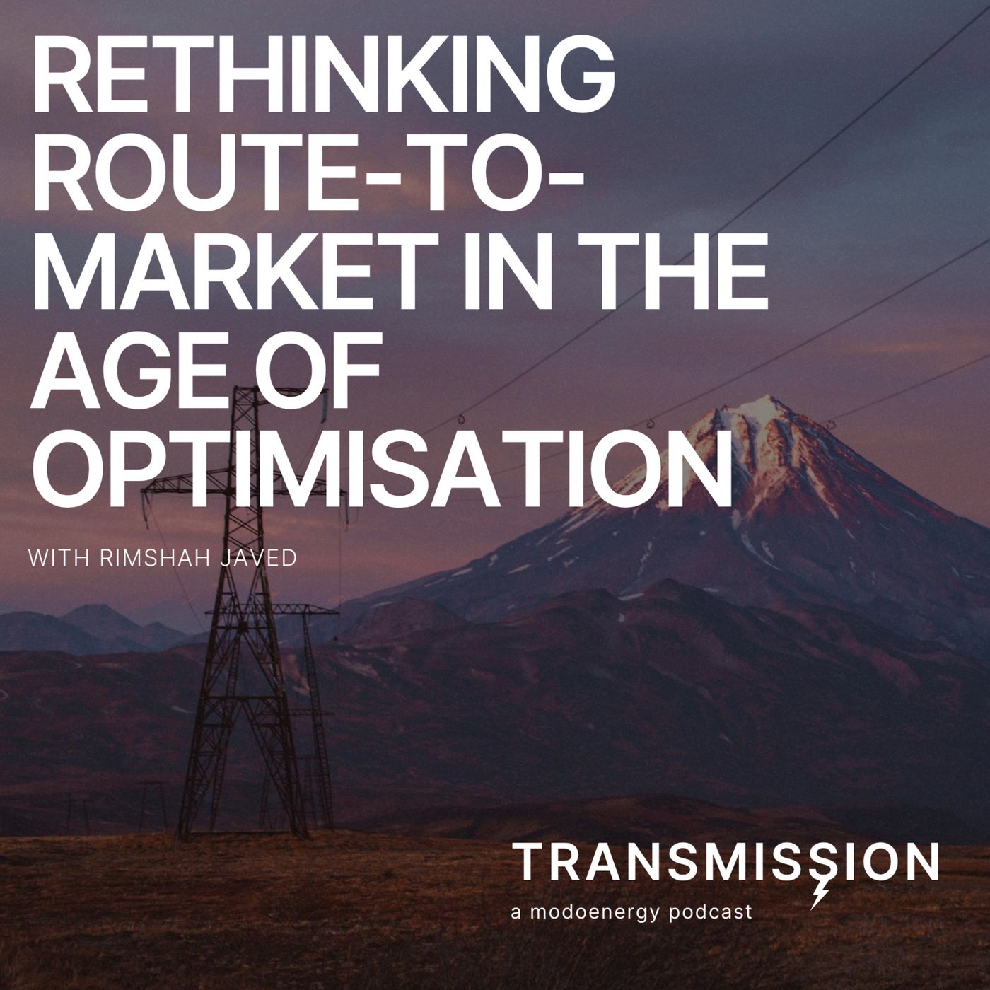 Rethinking Route-to-Market in the Age of Optimisation with Rimshah Javed (Principal Originator @ Danske Commodities)