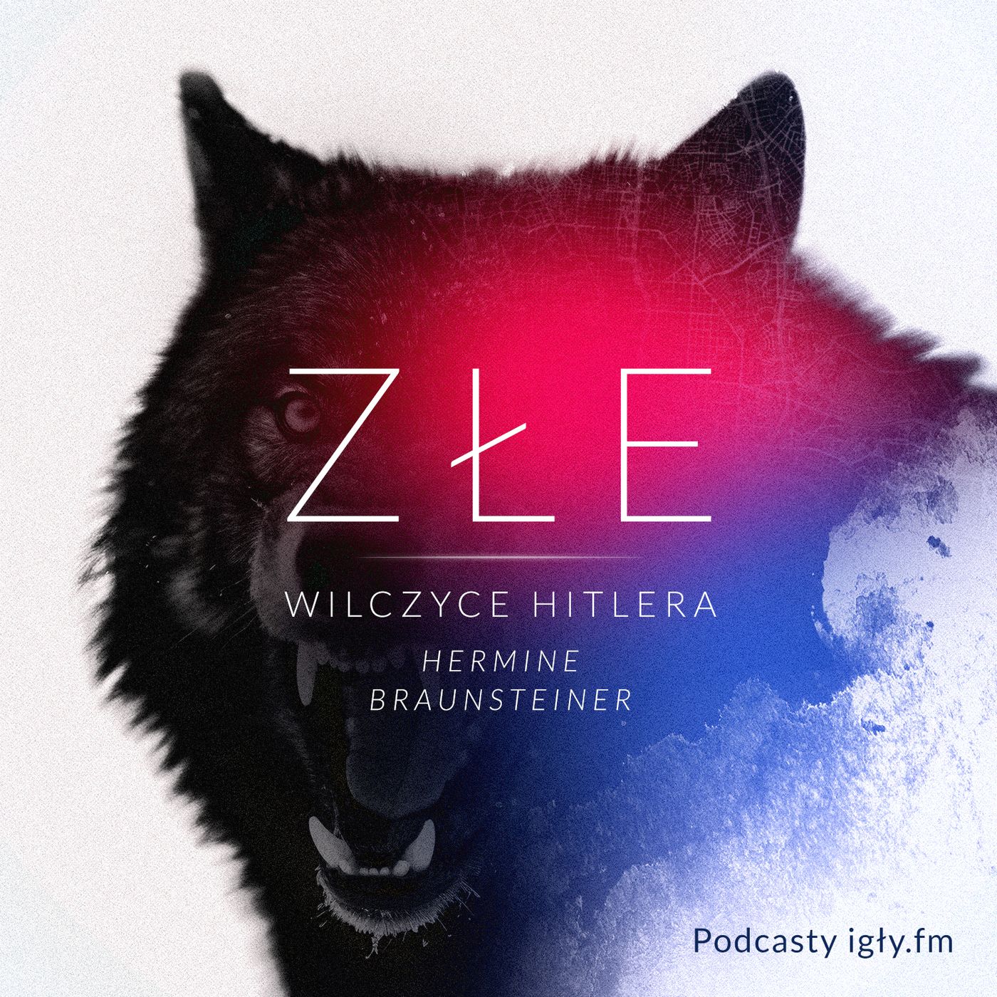 IGŁY FM