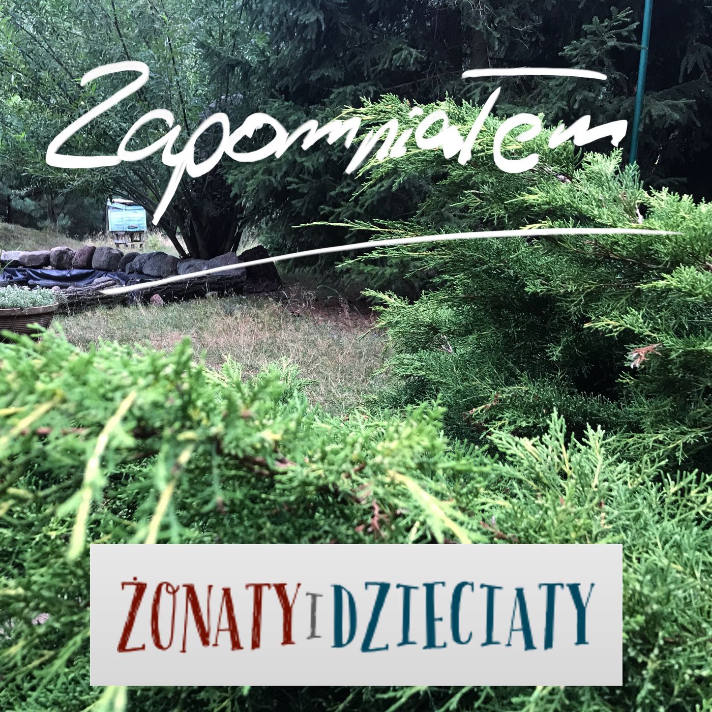 Zapomnialem