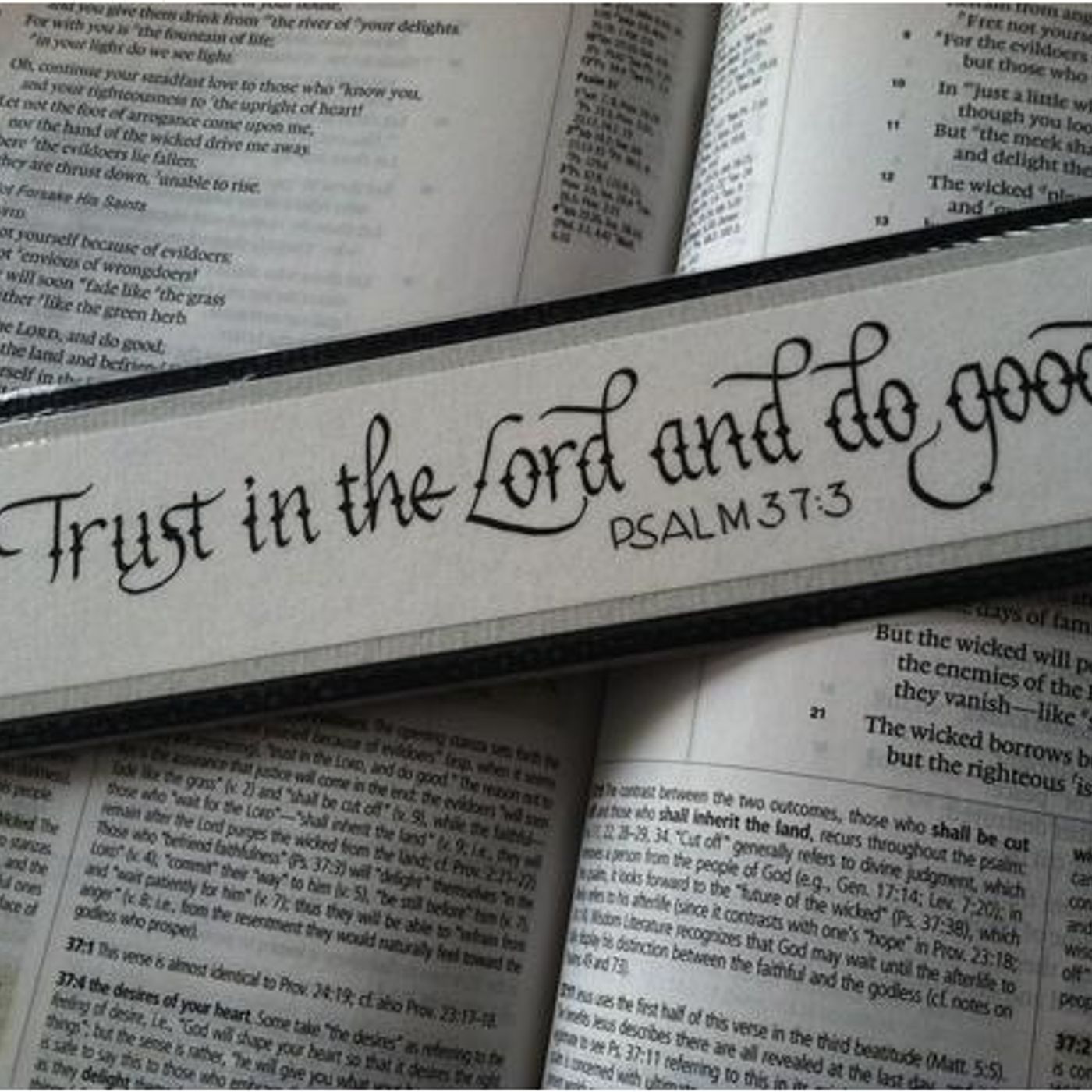 Trusting God And Doing Good In 2023 (Part 2) Psalm 37:3 - S6 [B311] episode artwork