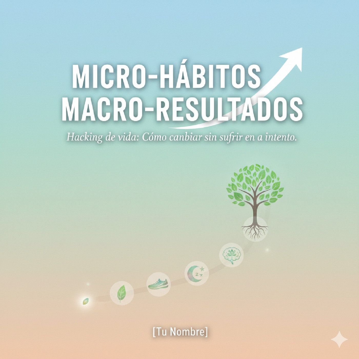 Micro Habitos Macro Resultados