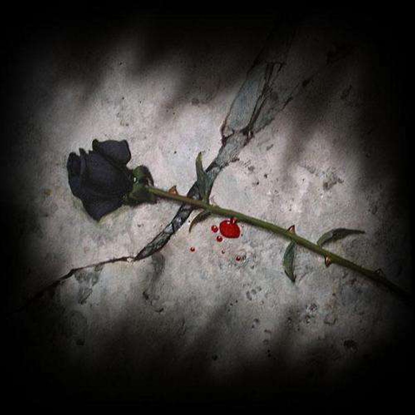 Vivere o Morire episode artwork