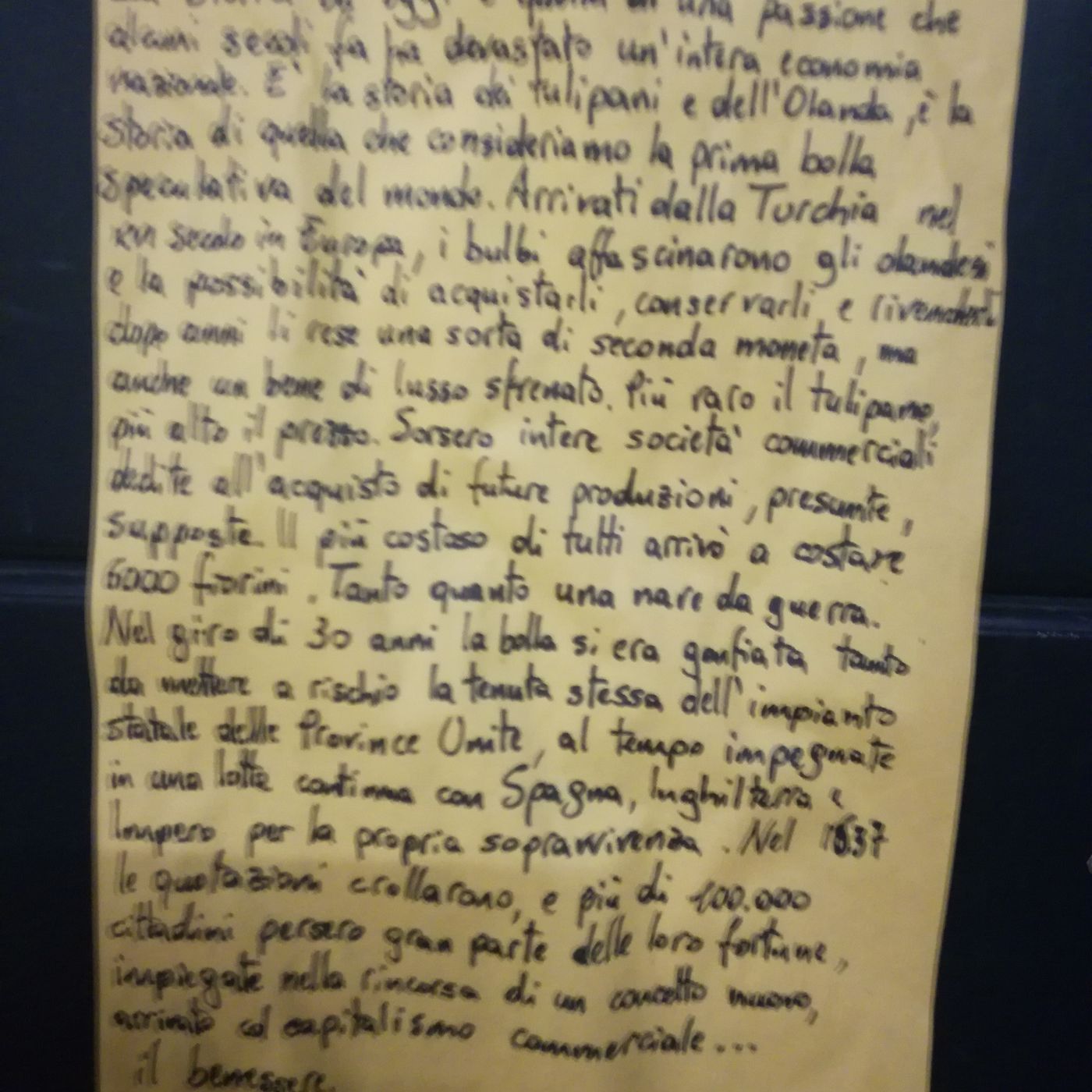 S.1 - Ep.2: Storia dell'Olanda e dei tulipani