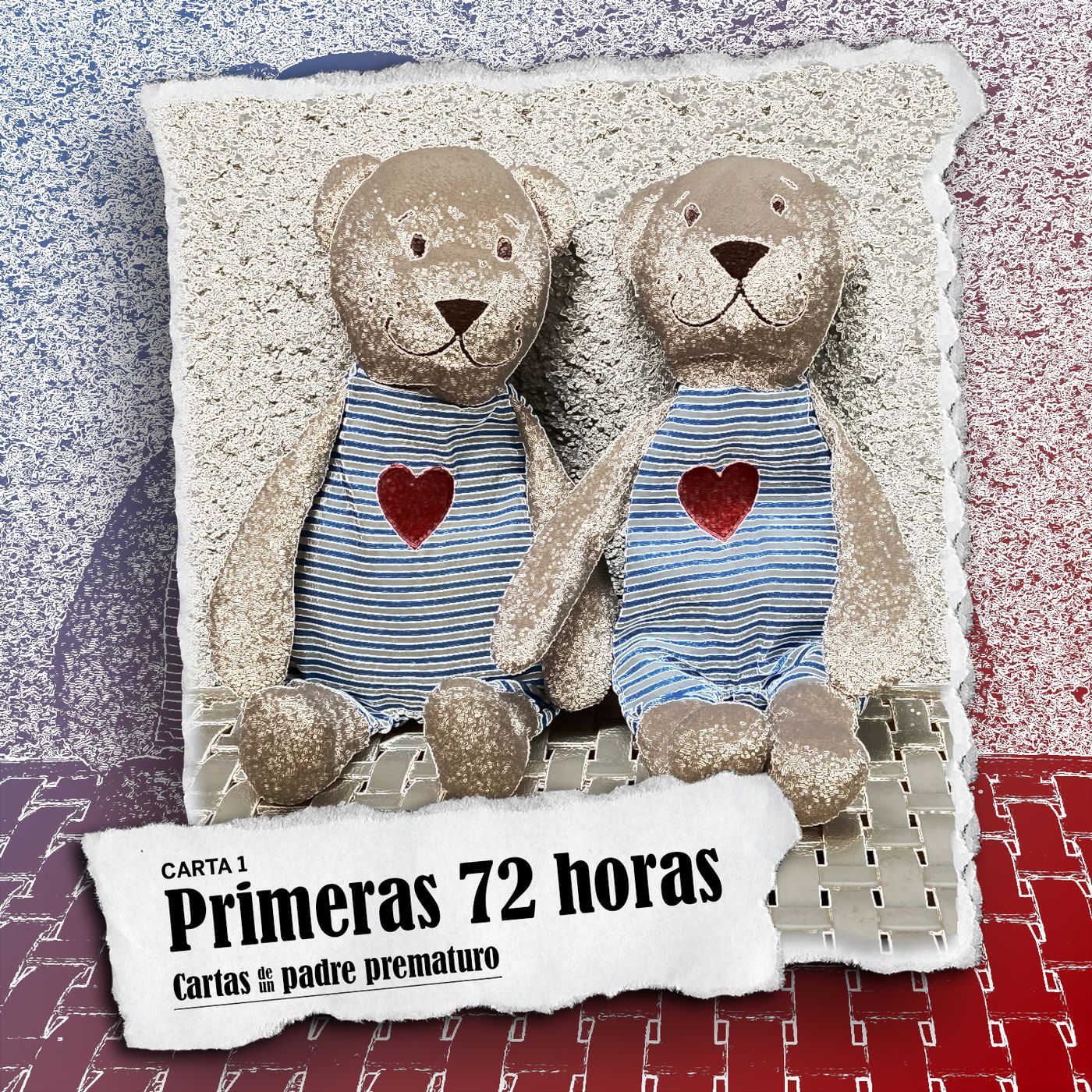Cartas de un padre prematuro
