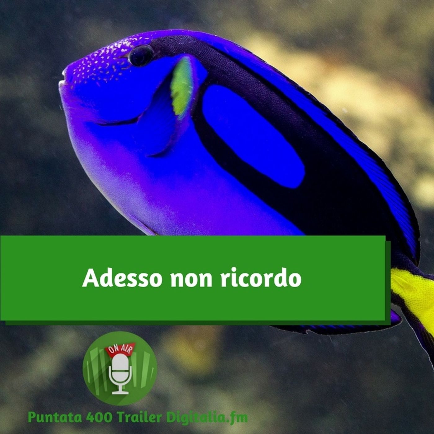 I trailer di Digitalia