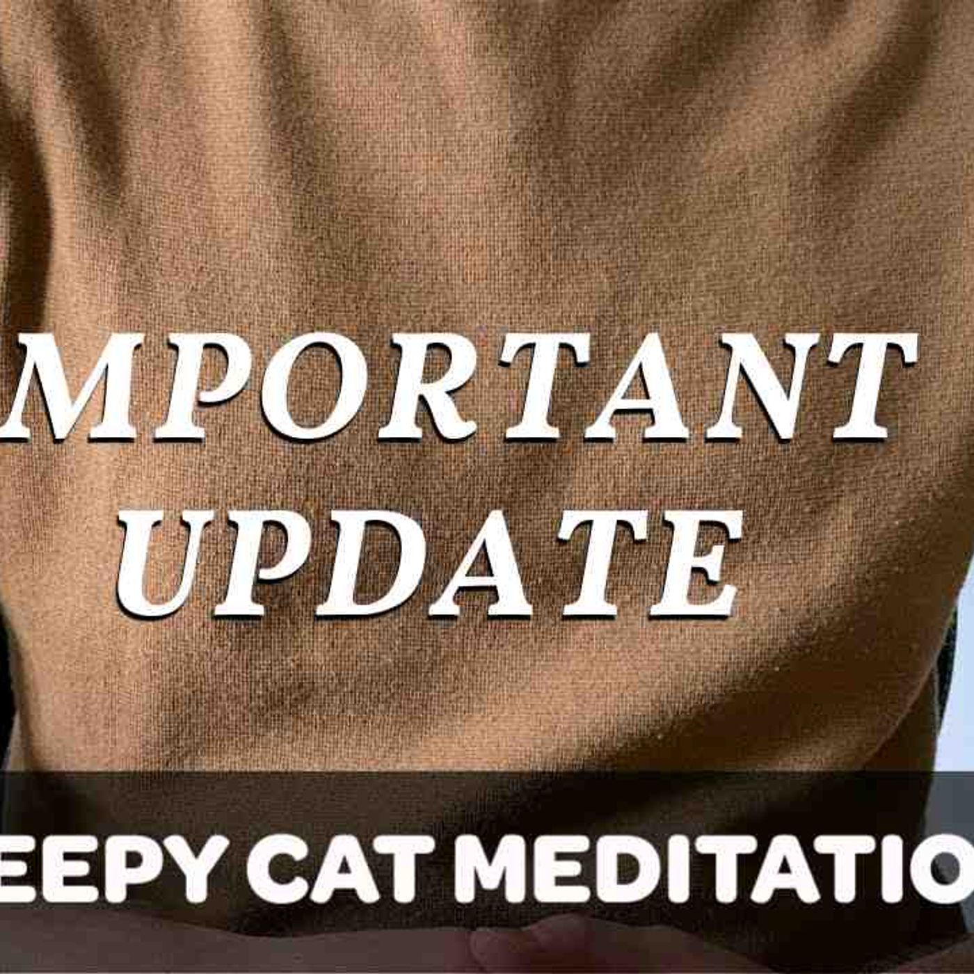 IMPORTANT_ YouTube Ads Could DESTROY Sleep Stories _ Meditations (Jason Stephenson Petition) episode artwork