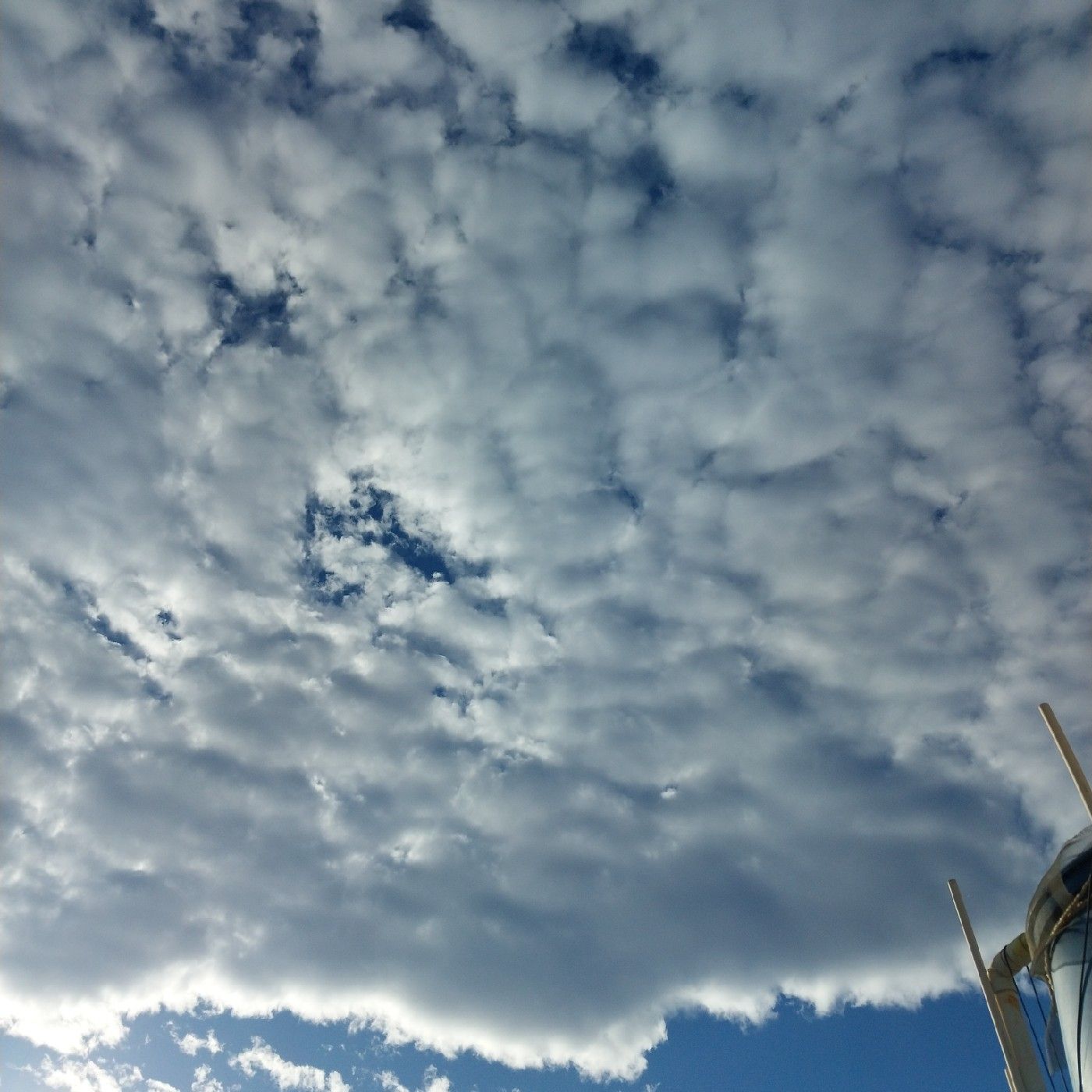 ConCiencia cover art