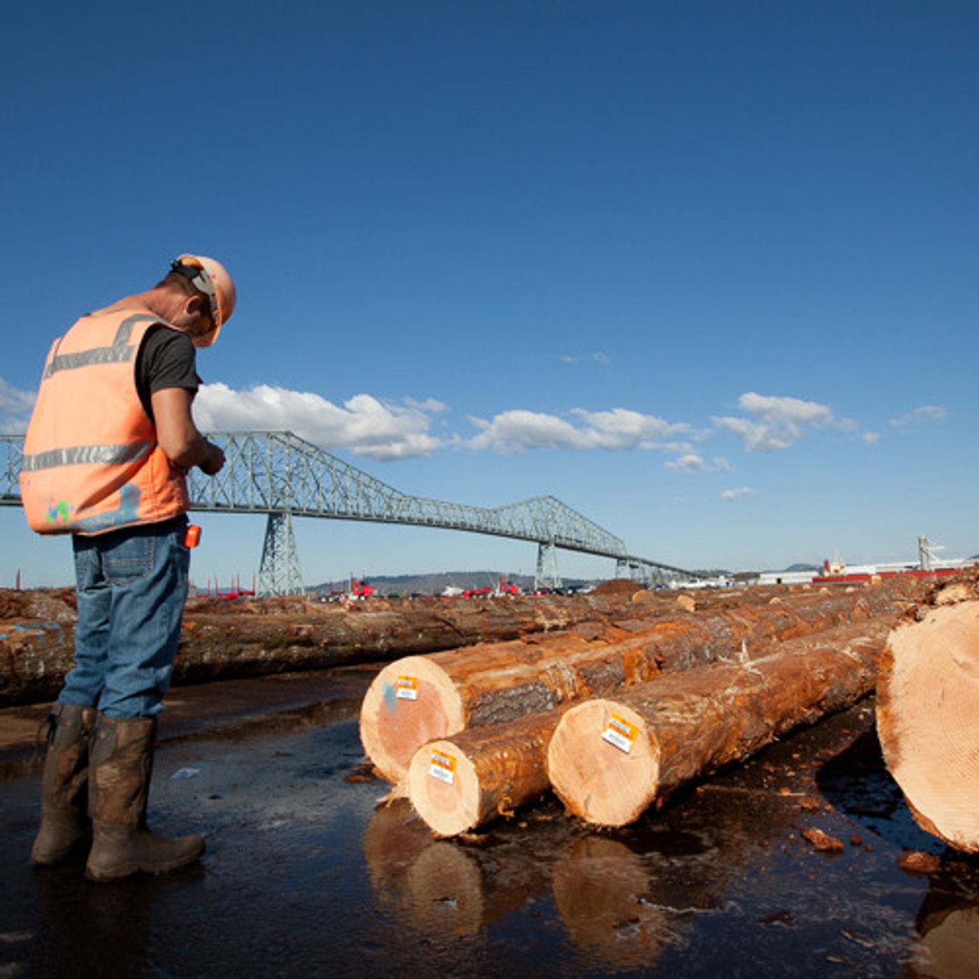 China's Building Boom Revives Northwest Log Export Debate episode artwork