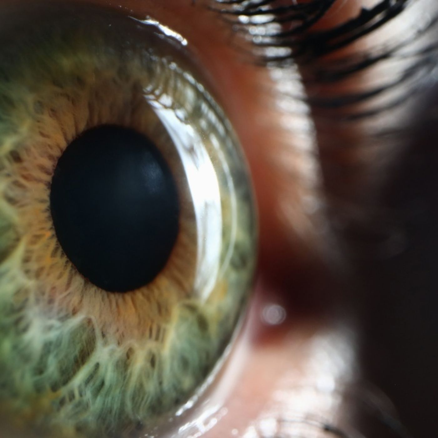 The Eye News Italia