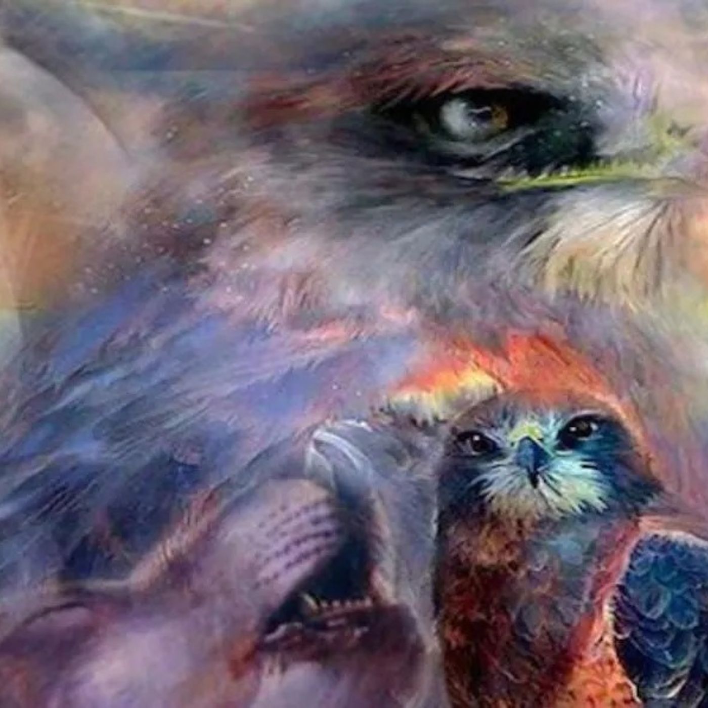 I FRATELLI ANIMALI  IN MISSIONE DI AMORE SULLA TERRA. MEDITAZIONE DECRETI “EFFETTO MAHARISCHI!” episode artwork