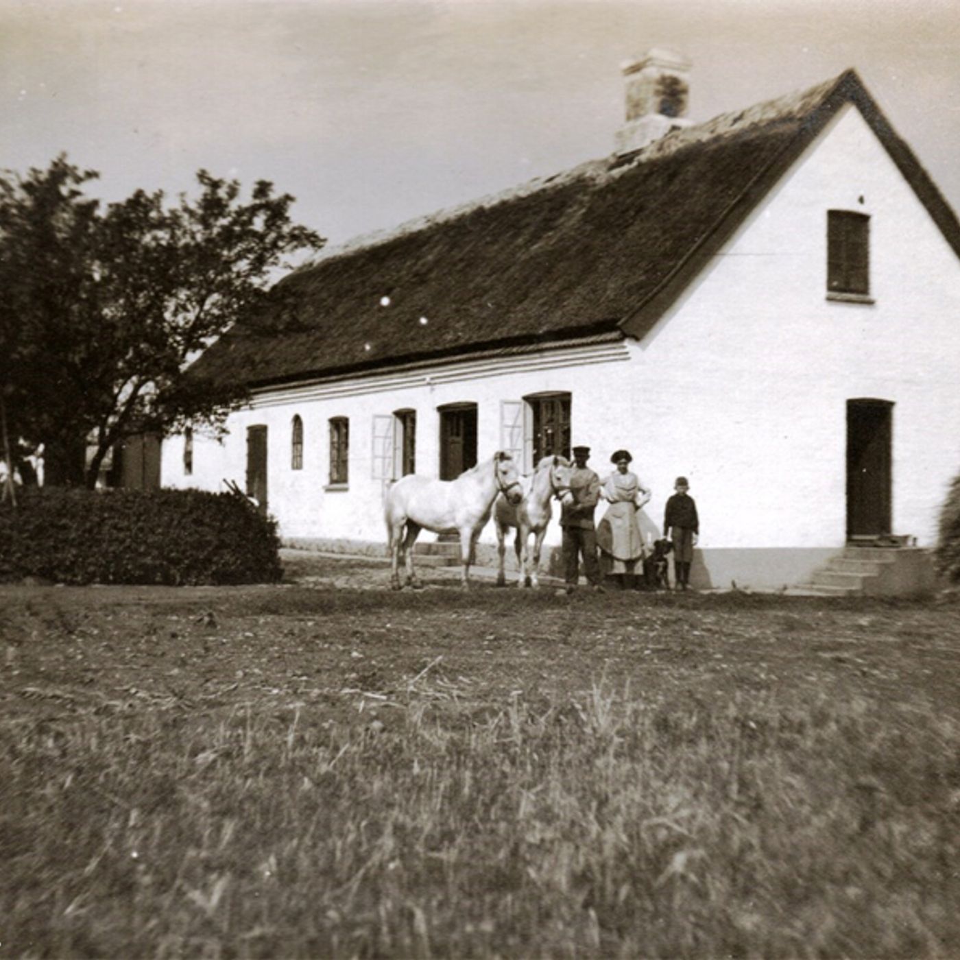 Tuse Næs Lokalhistorisk Forening & Arkiv