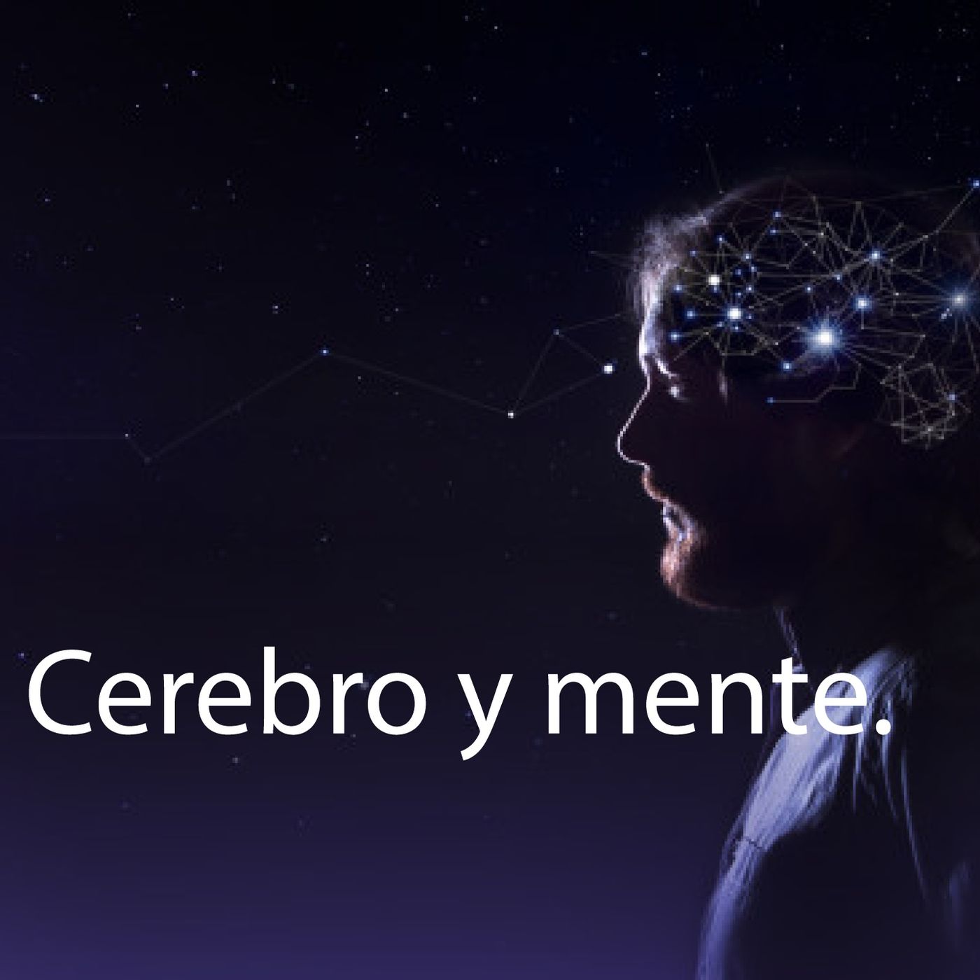 La cápsula espacial.