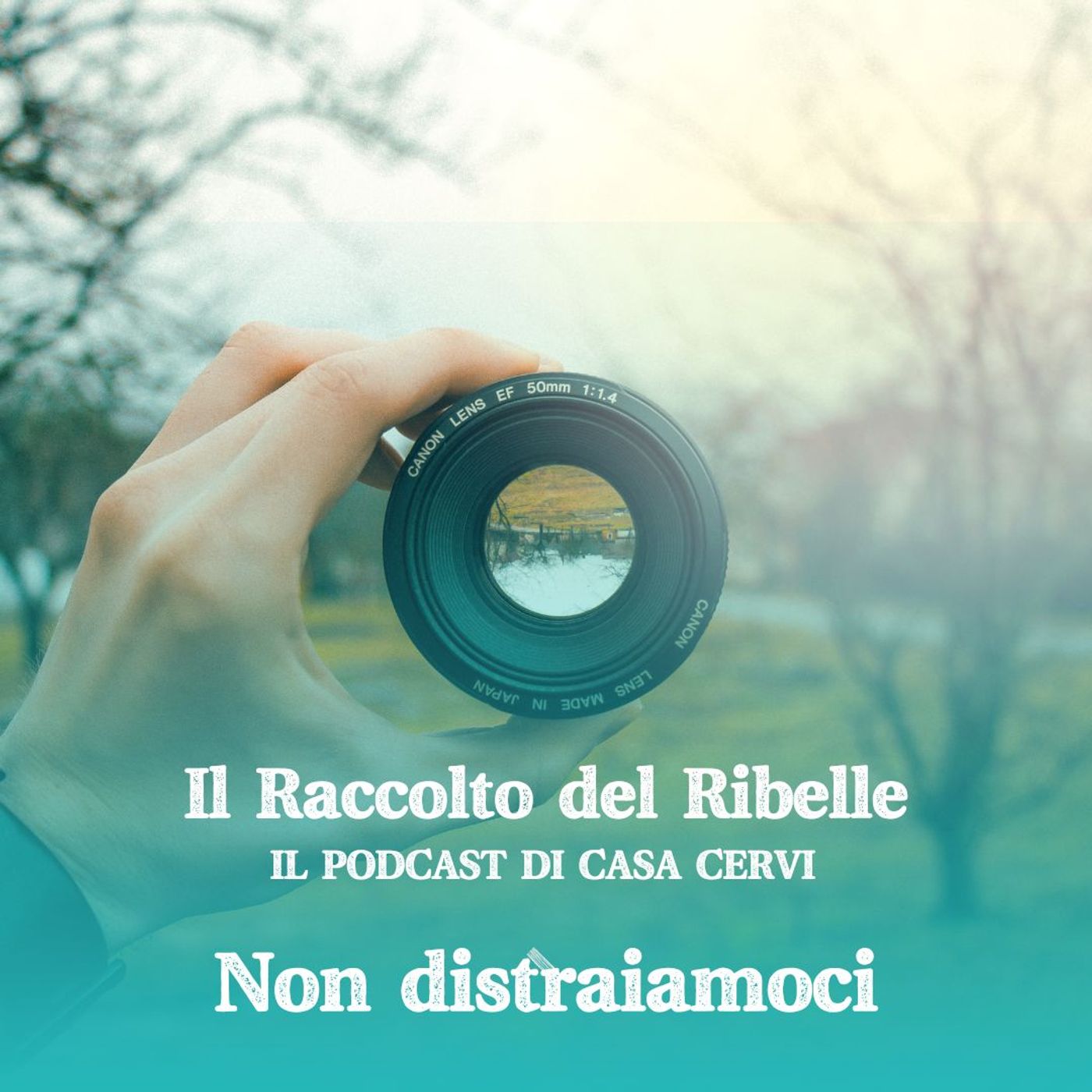 Il Raccolto del Ribelle