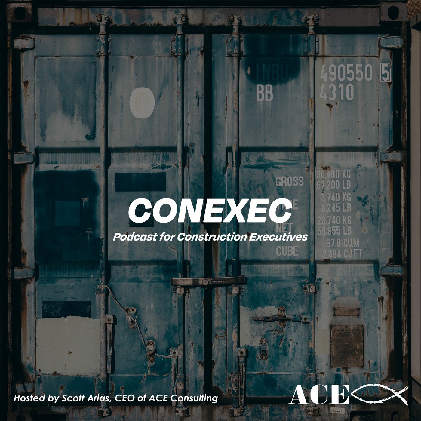 CONEXEC - ACE - CONSULTING