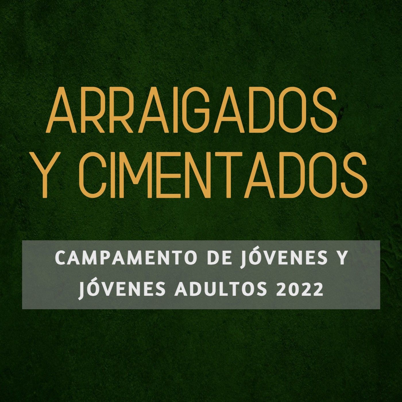 Jóvenes de Betel